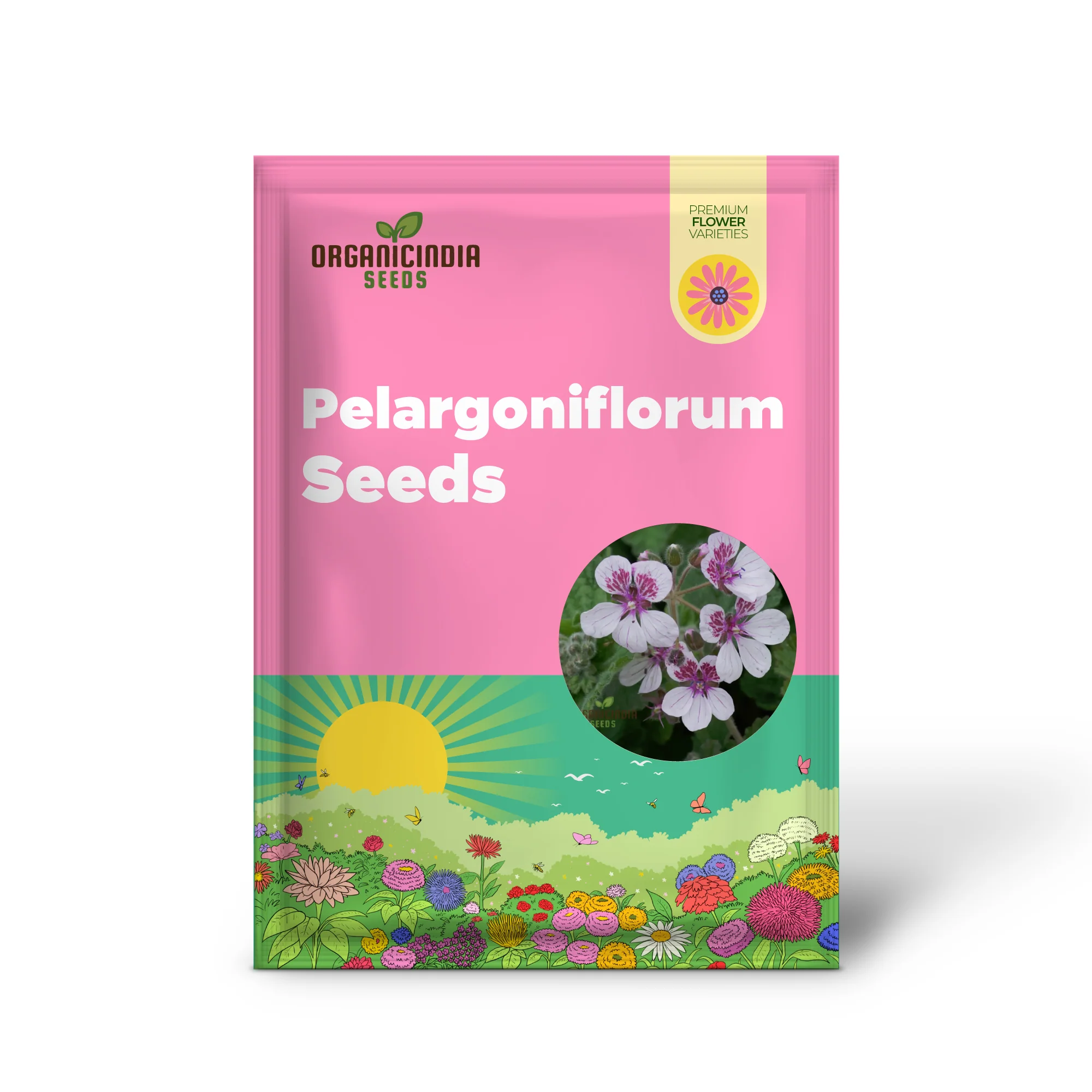 Erodium Pelargoniflorum Seeds - Exquisite Geranium-Like Flowers for Your Garden - Gardening Seeds - Image 2