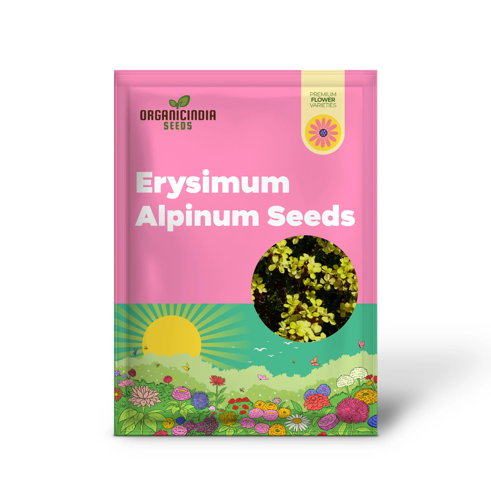 Erysimum Alpinum Seeds For Planting - Vibrant Alpine Wallflower Seeds for Gardeners and Landscapers - Image 2