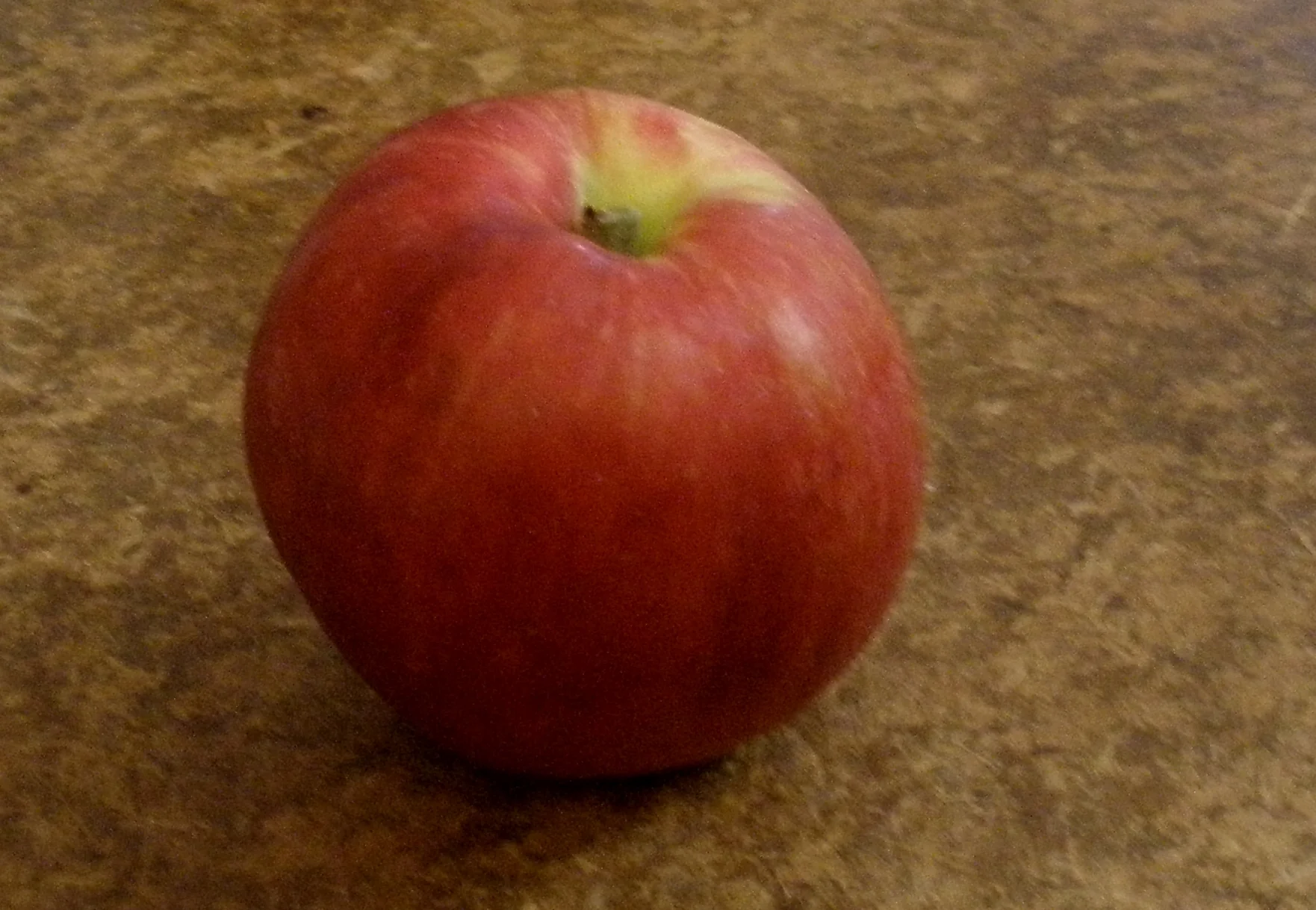 Esopus Spitzenburg Apple Seeds for Planting – Soft, Juicy & Slow to Brown Heirloom Apples - Image 2