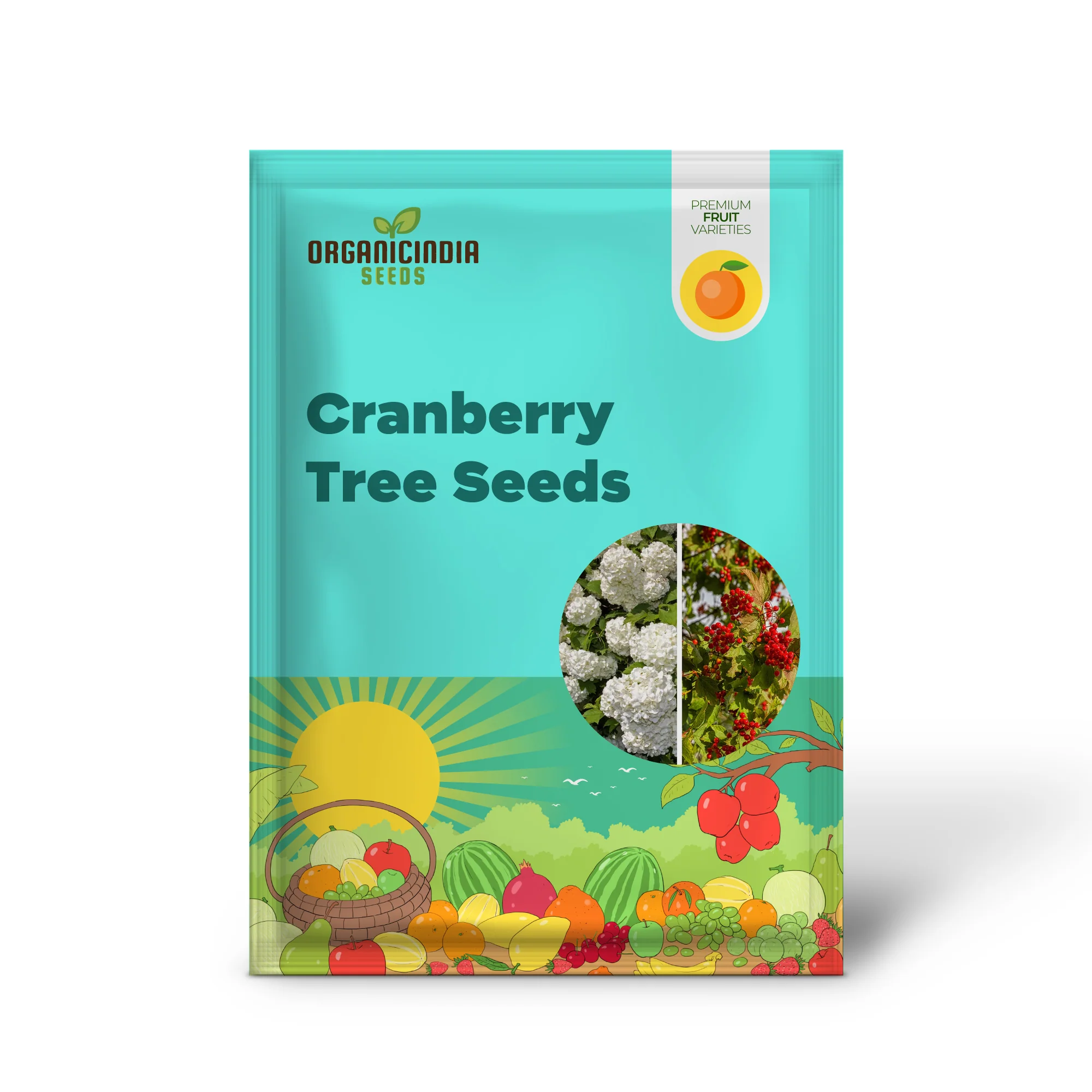 European Cranberry Tree Seeds - Image 2