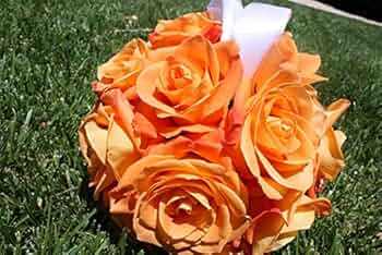 Eustoma Seeds – Vibrant Orange Garden Blooms - Image 5