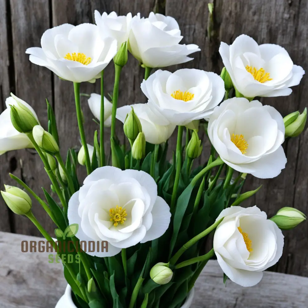 Lisianthus Seeds – Premium Eustoma Variety for Garden Planting & Bouquets - Image 3