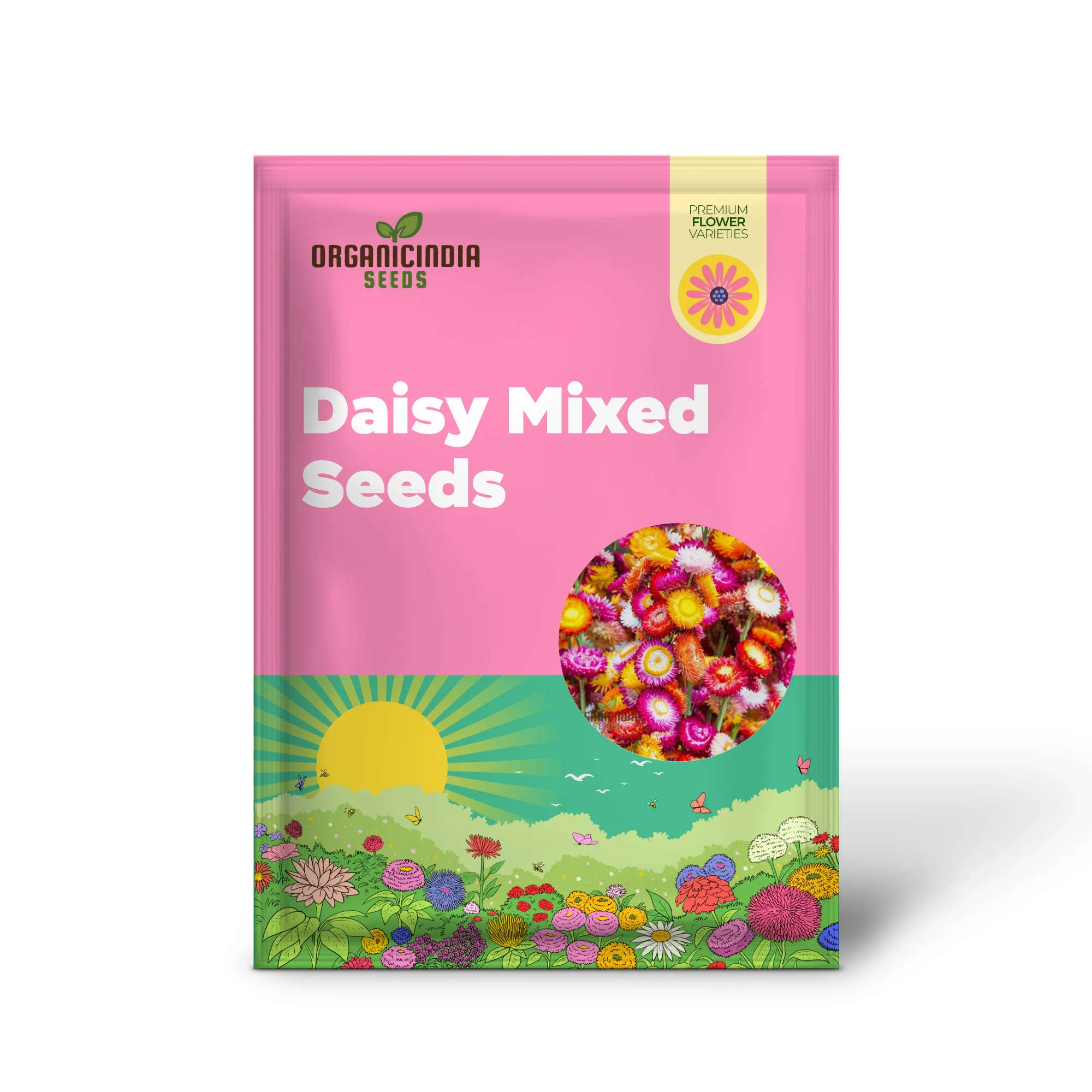 Everlasting Daisy Mixed Seeds – Elevate Your Gardening Experience with Long-Lasting, Vibrant Blooms! - Image 2