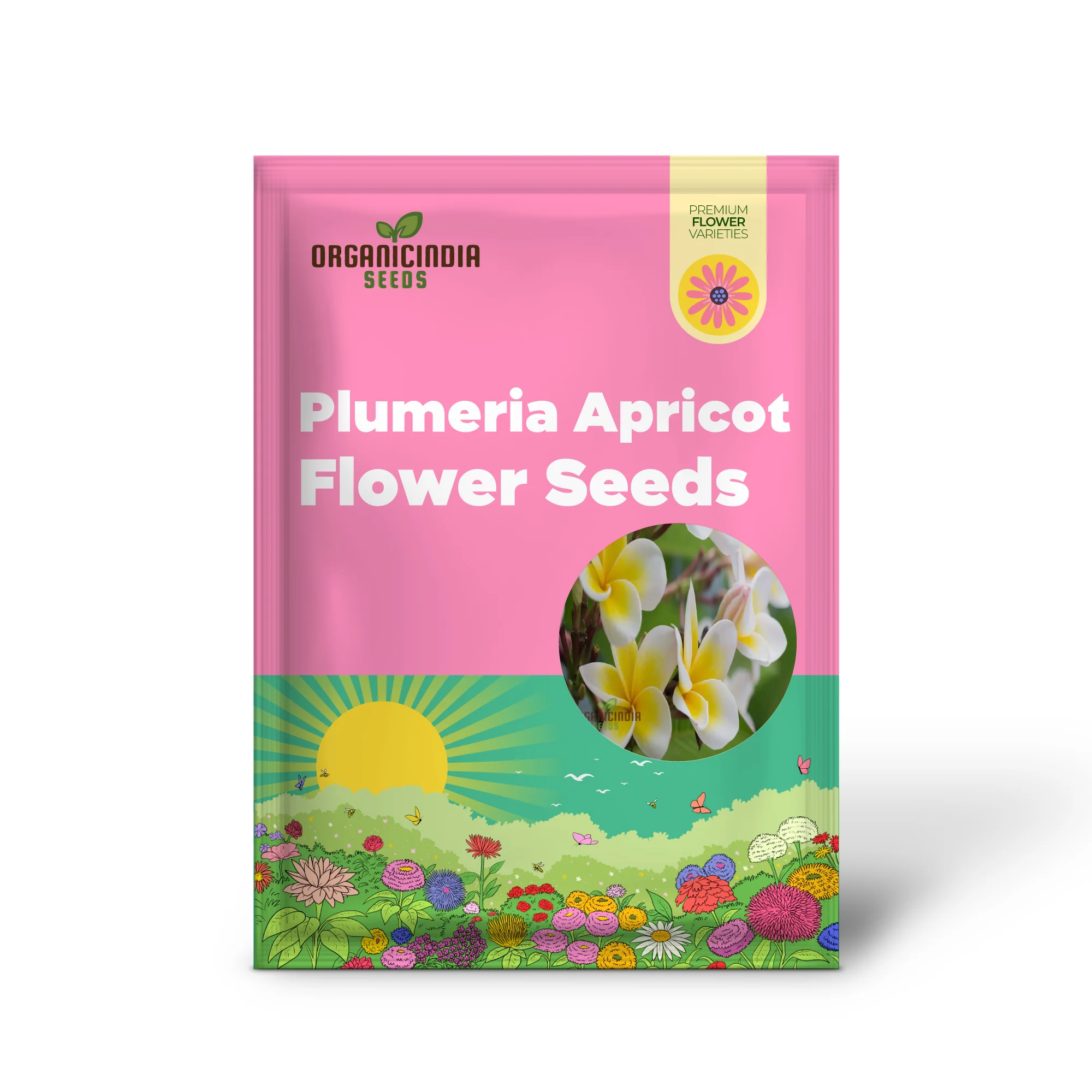 Plumeria Apricot Flower Seeds – Premium Tropical Blooms for Garden Planting - Image 2