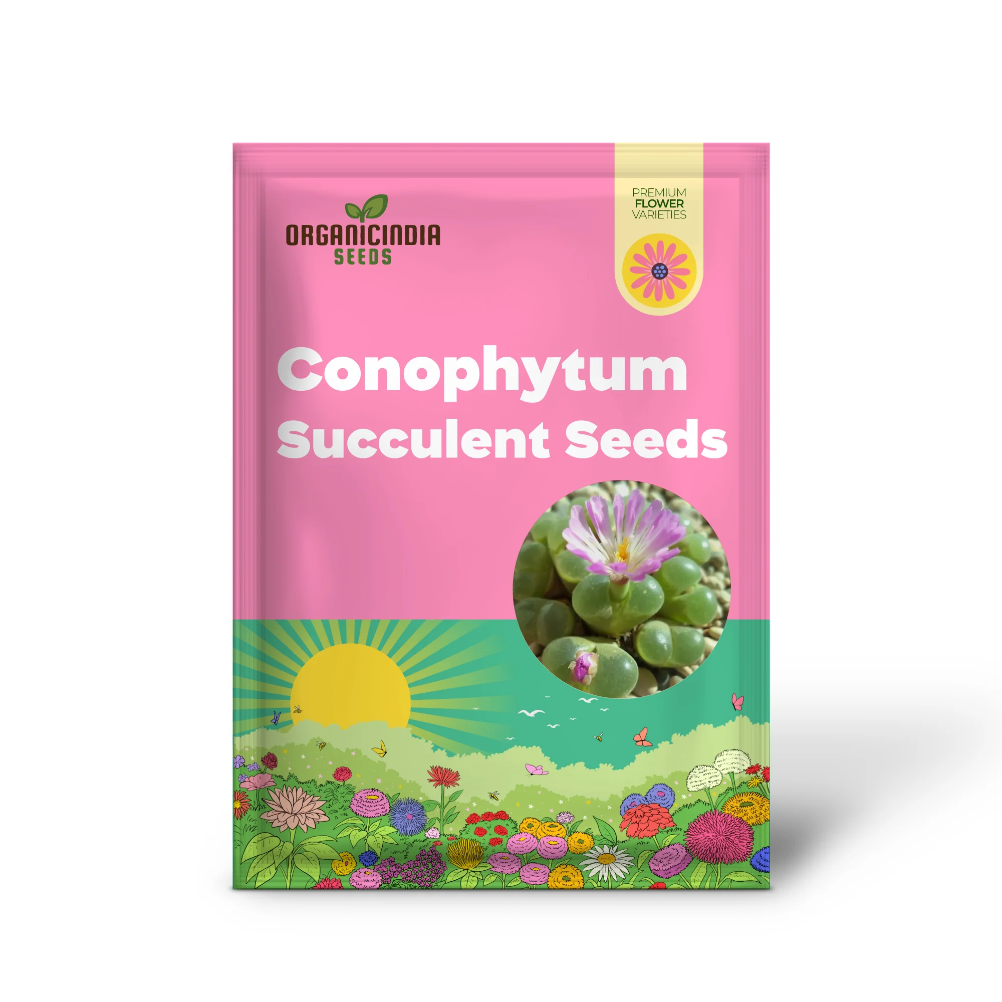 Eye Leaves Conophytum Succulent Seeds for Planting, Perfect for Home Gardens and Indoor Planting Collections, High-Quality Seeds - Image 2