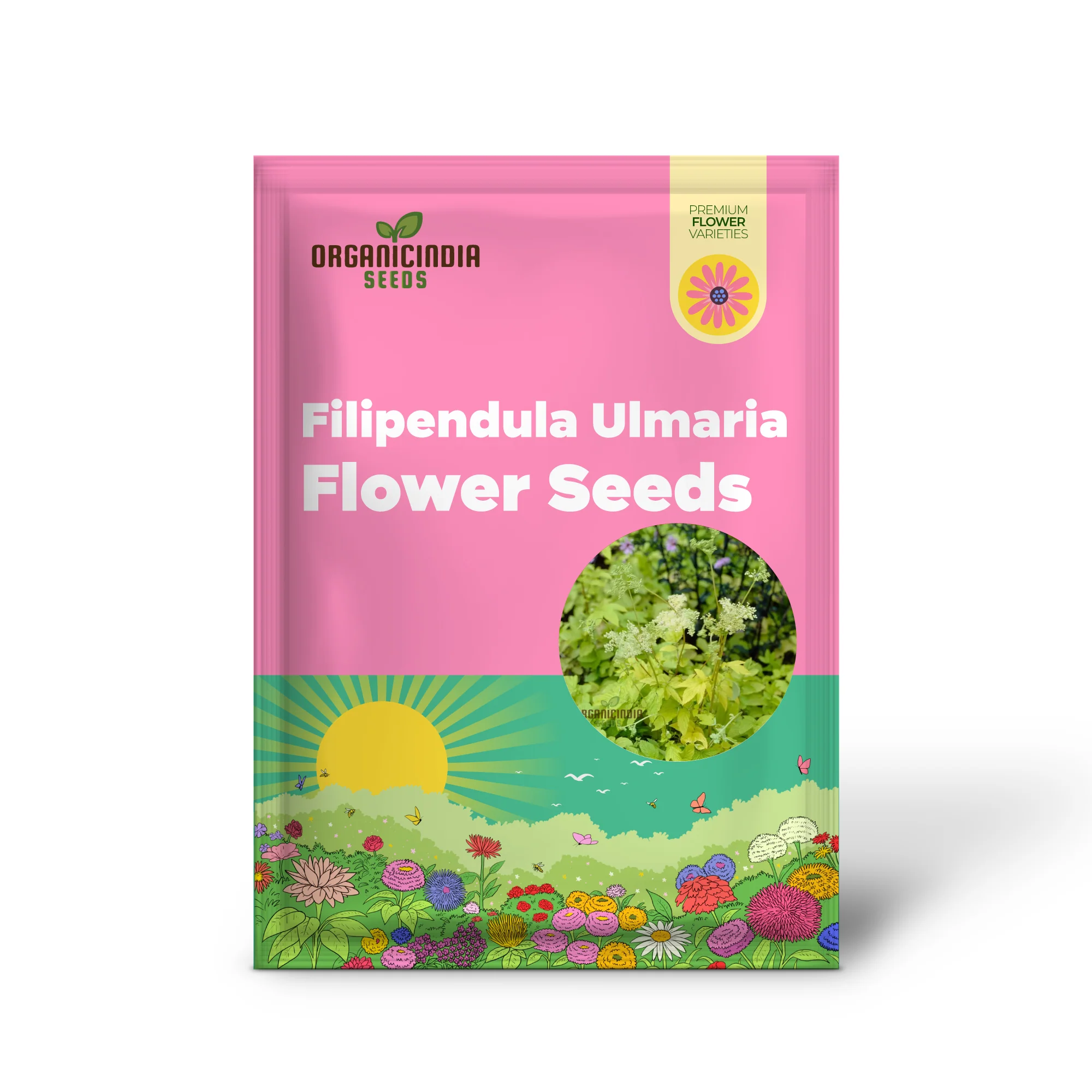 Filipendula Ulmaria 'Aurea' Seeds - Exquisite Yellow Meadow Sweet for Planting and Garden Beauty - Image 2