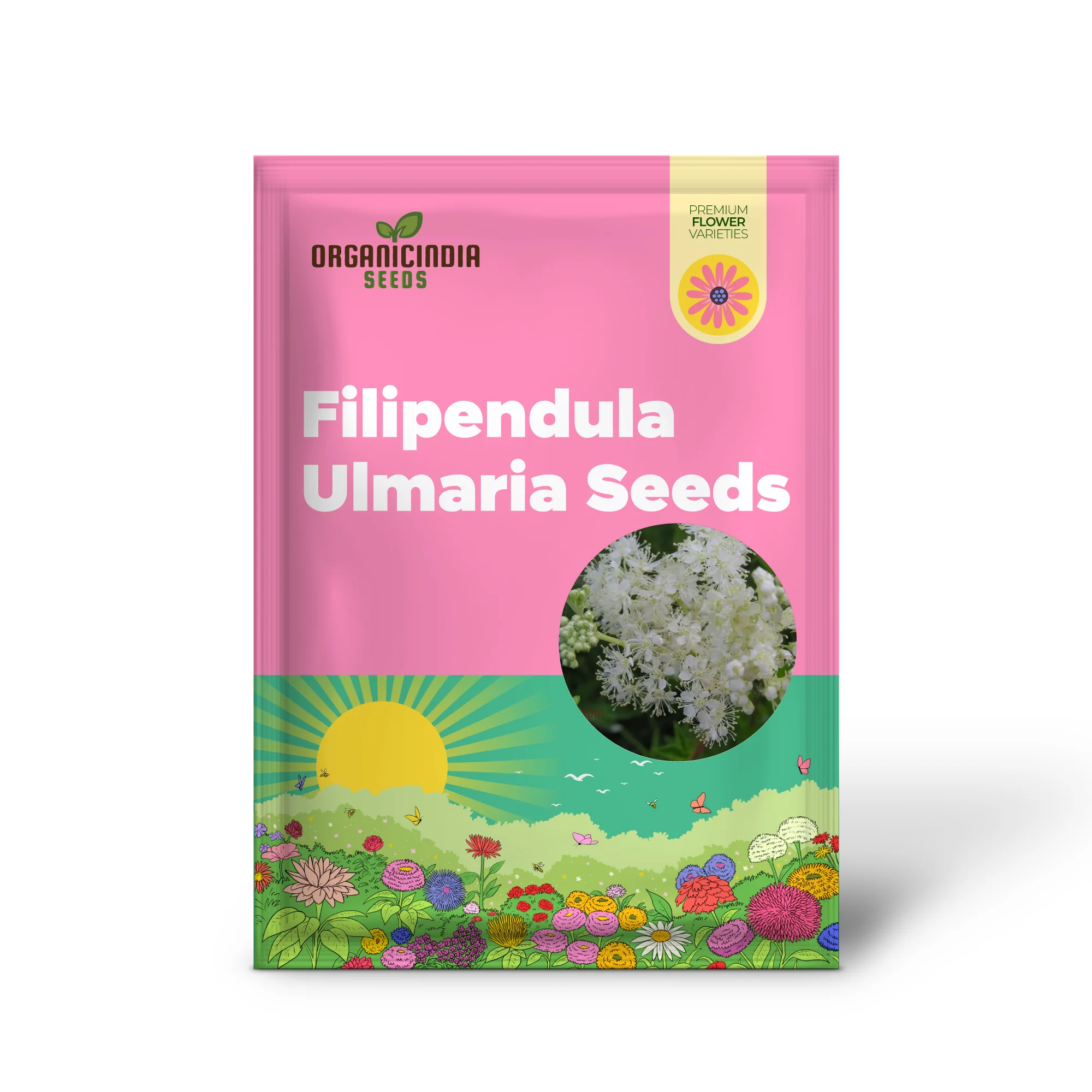 Filipendula Ulmaria Seeds - Premium Quality for Planting in Gardens and Landscapes - Image 2
