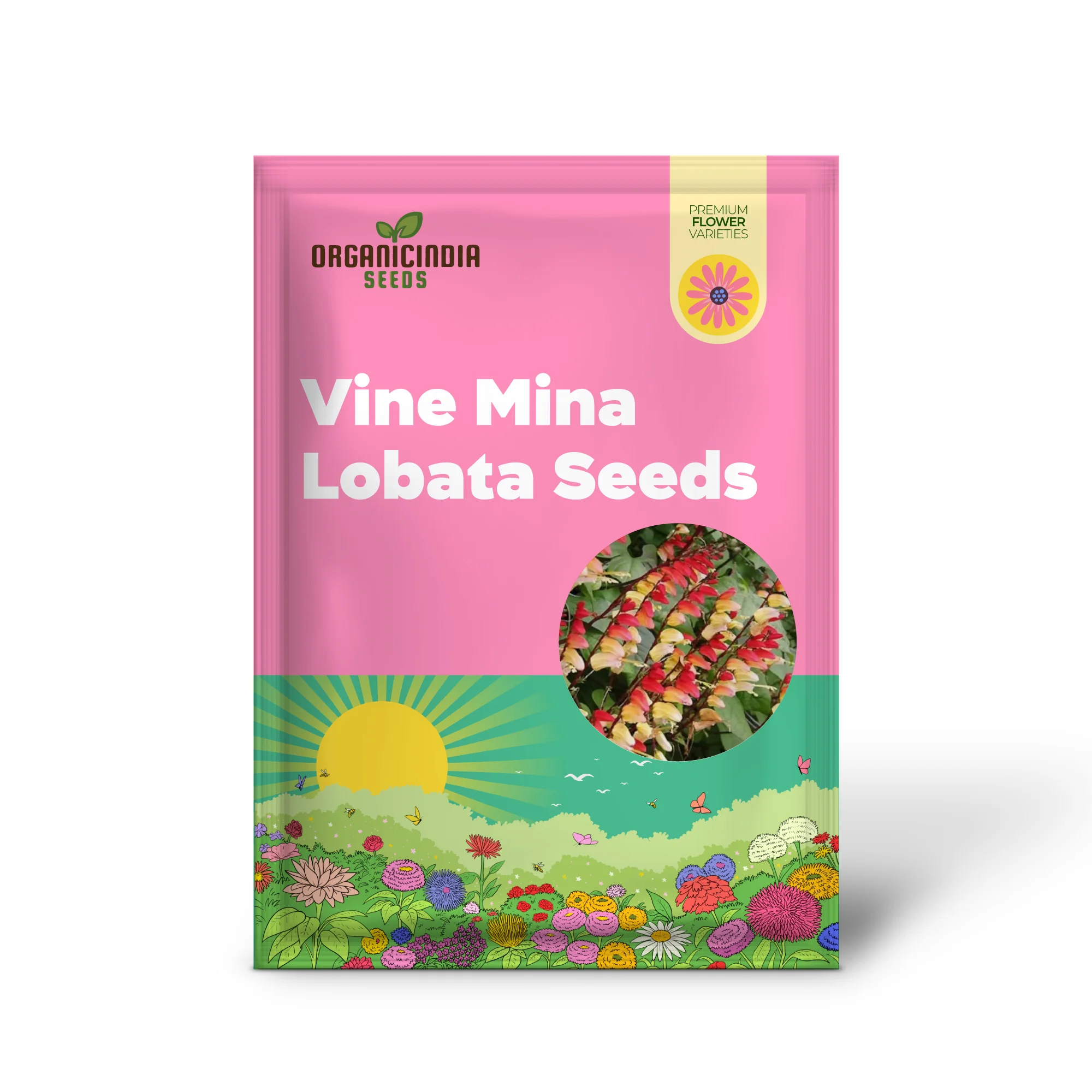 Mina Lobata Seeds (Fire Cracker Vine Seeds) - Rare Climbing Annual for Colorful Garden Displays - Image 2