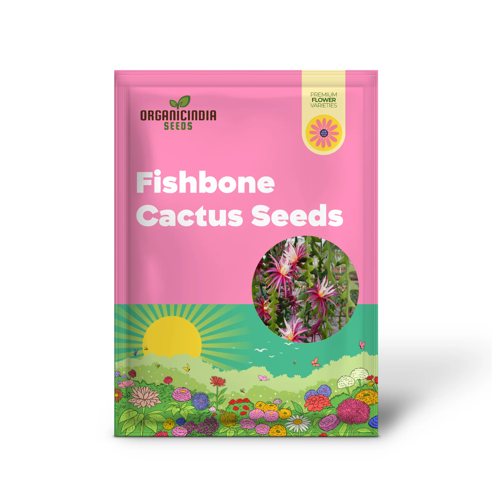 Fishbone Cactus Seeds (Epiphyllum Anguliger) Unique Zigzag Hanging Planting - Image 2