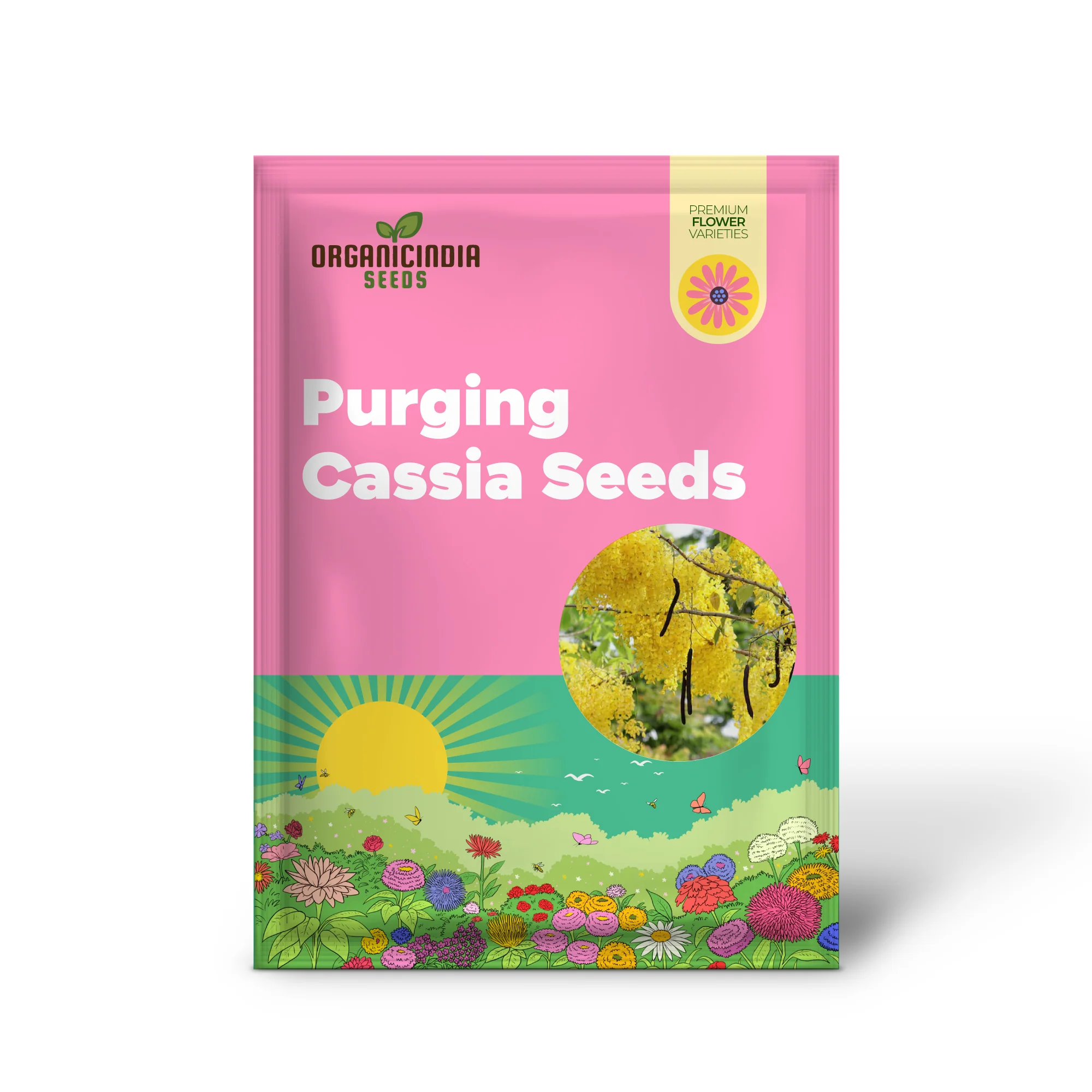Golden Rain Tree or Purging Cassia Seeds for Planting - Image 2