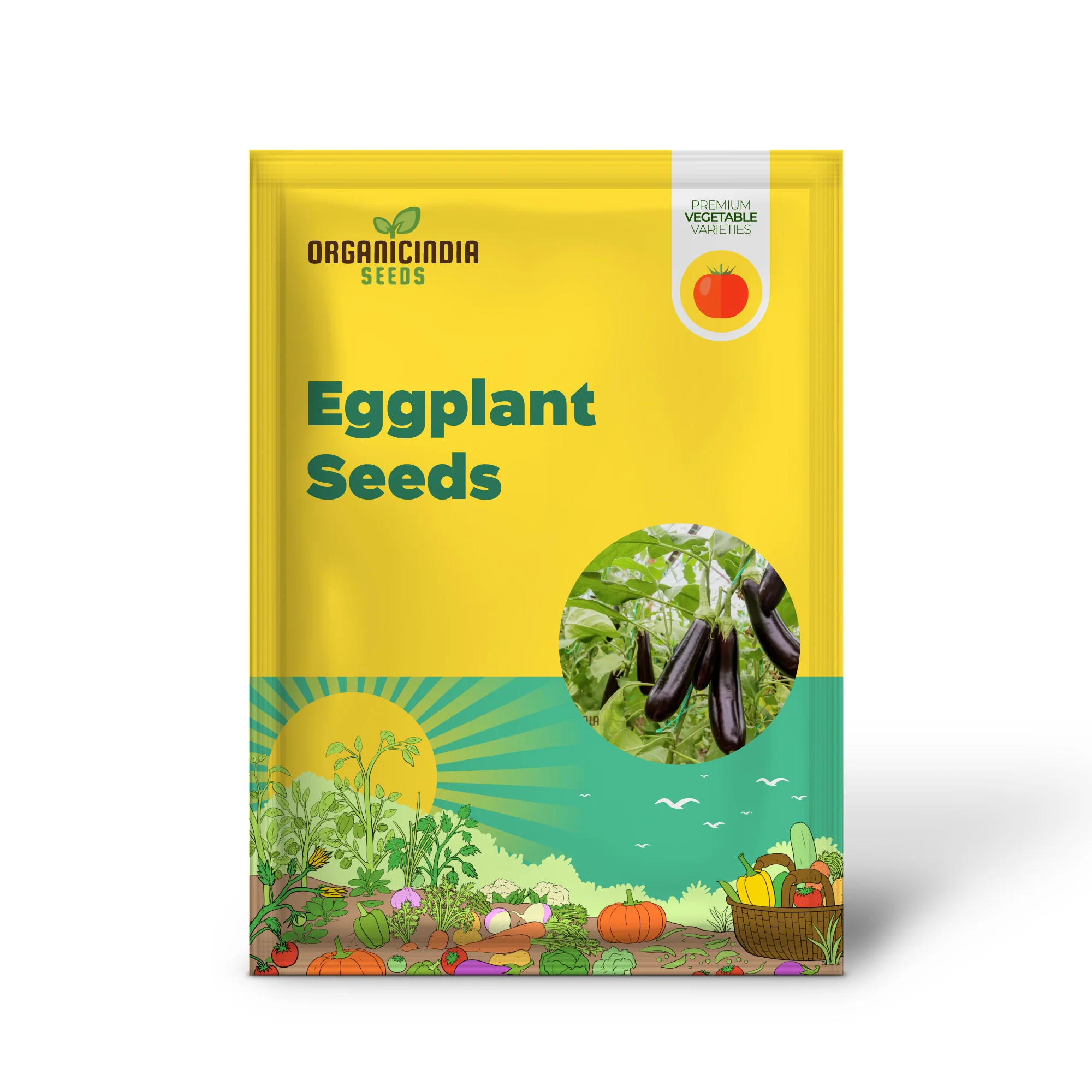 Florida Market Eggplant Seeds for a Thriving Garden and Fresh Harvests! - Image 2
