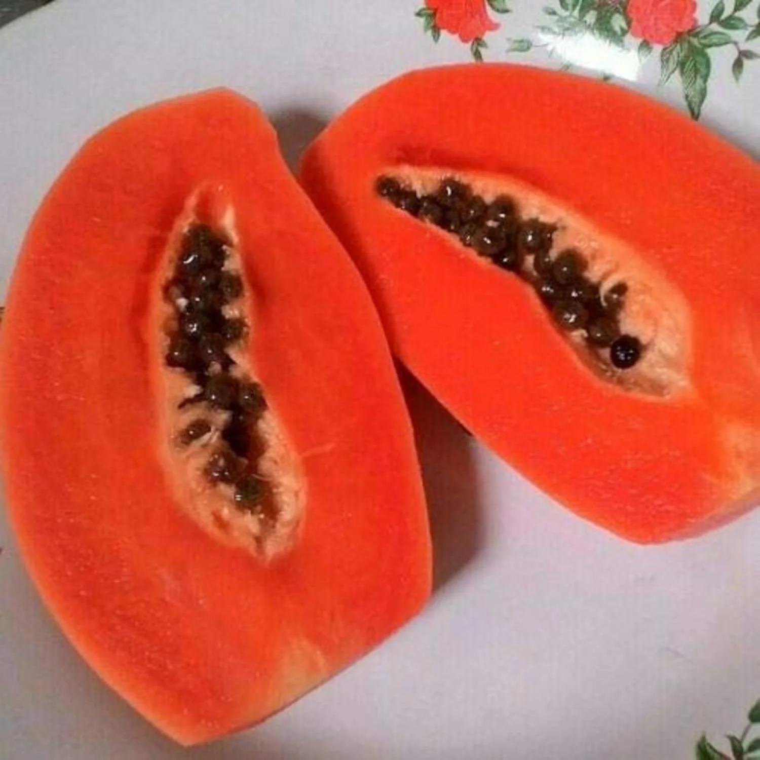 Florida Red Papaya Seeds for Planting – Sweet & Juicy Tropical Fruit - Image 2