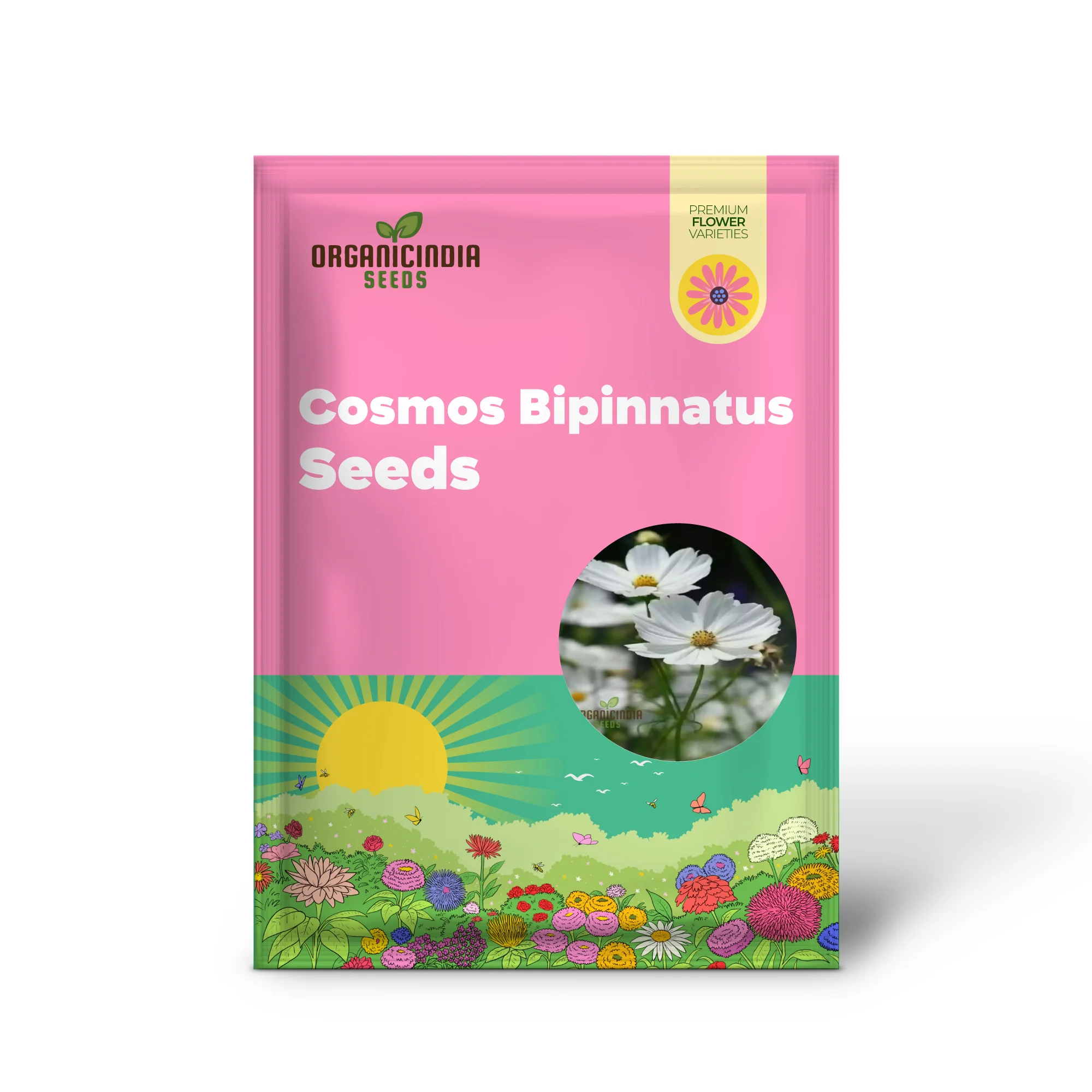 Flower Gardening with Cosmos Bipinnatus, A Complete Guide to Planting and Growing White Cosmos Seeds - Image 2