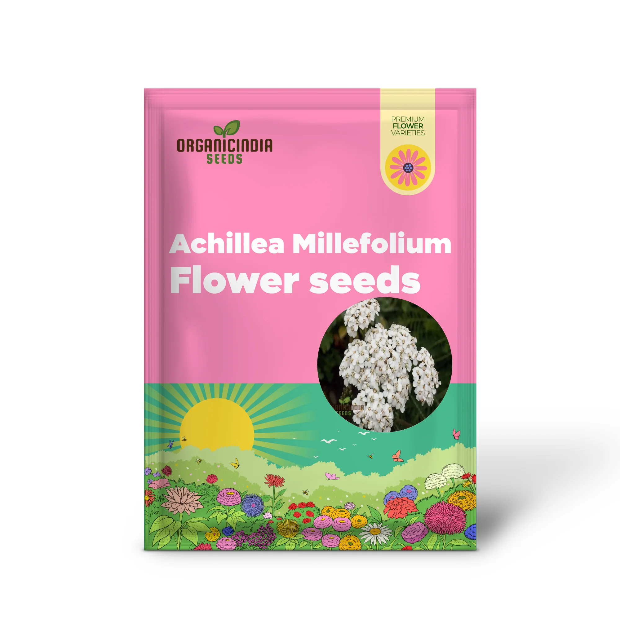 White Achillea Millefolium Flower seeds, Gardening with An In-Depth Guide to Planting and Growing Yarrow Seeds - Image 2