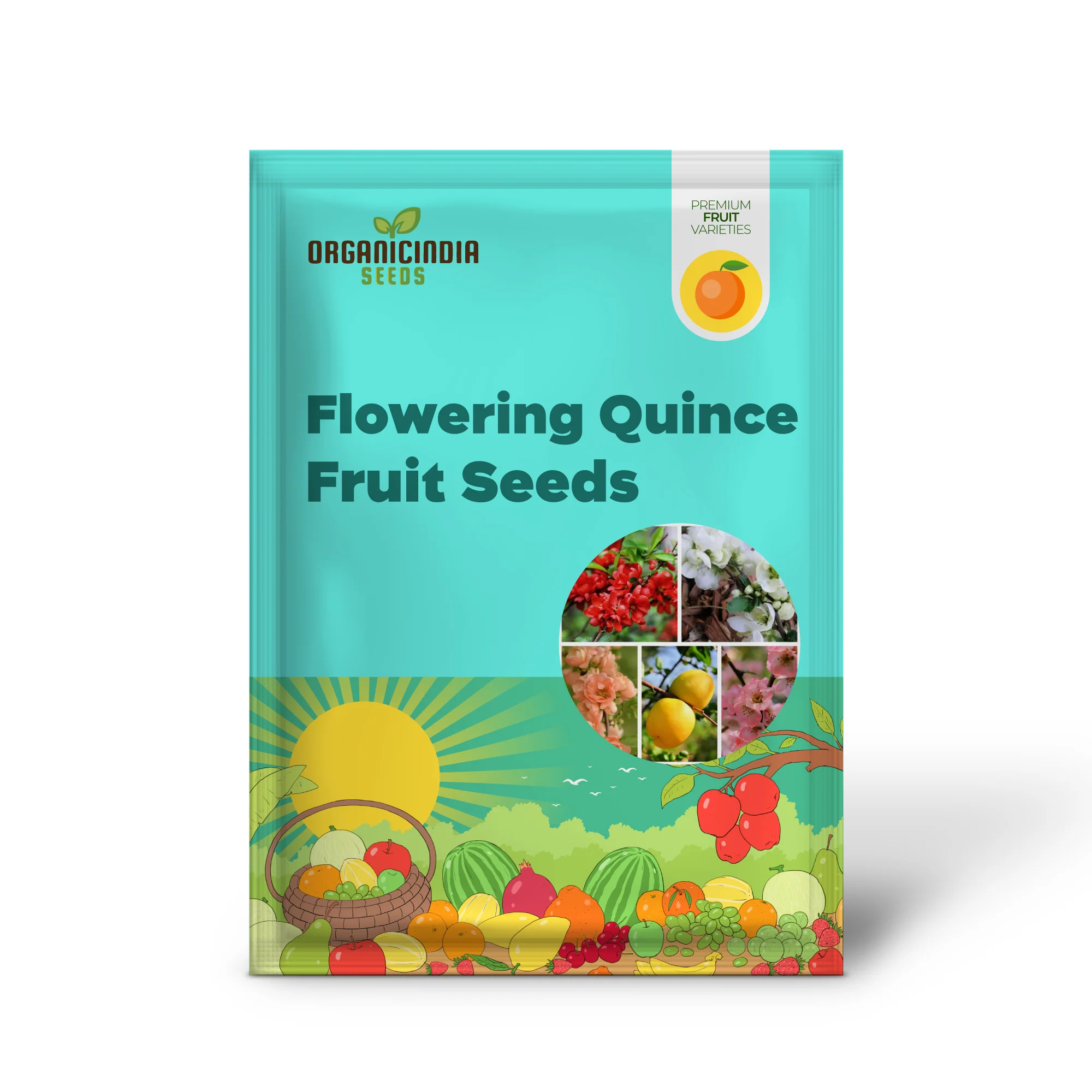 Flowering Quince Fruit Seeds - Image 2