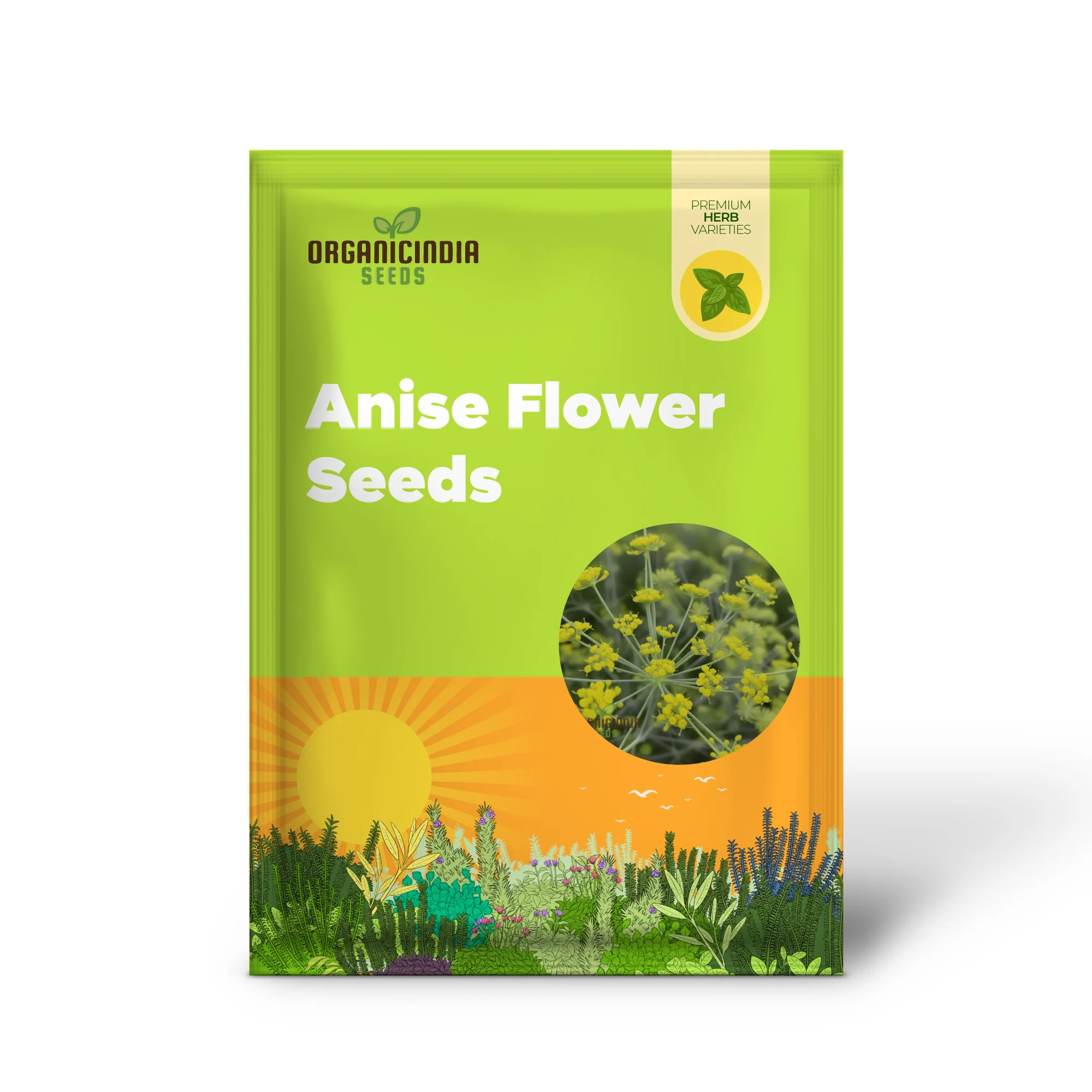 Anise Flower Seeds – Organic, Fragrant Blooms for Garden & Home Landscaping - Image 2
