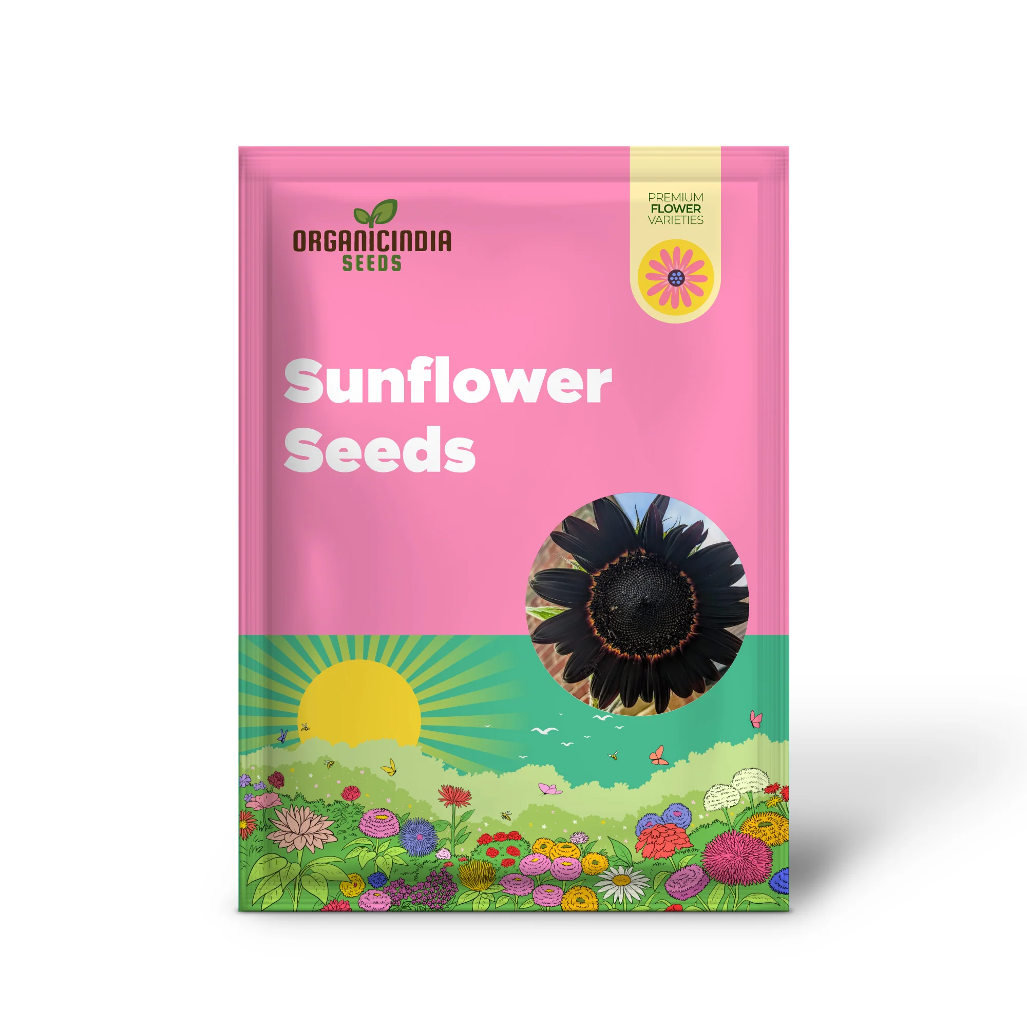 Fresh Deep Black Sunflower Seeds for Planting - Garden Growth for 50 Pcs - Image 2