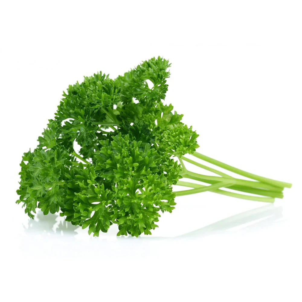 Frisée Parsley Seeds – Premium Quality, Non-GMO, Organic Herb for Fresh & Flavorful Gardening