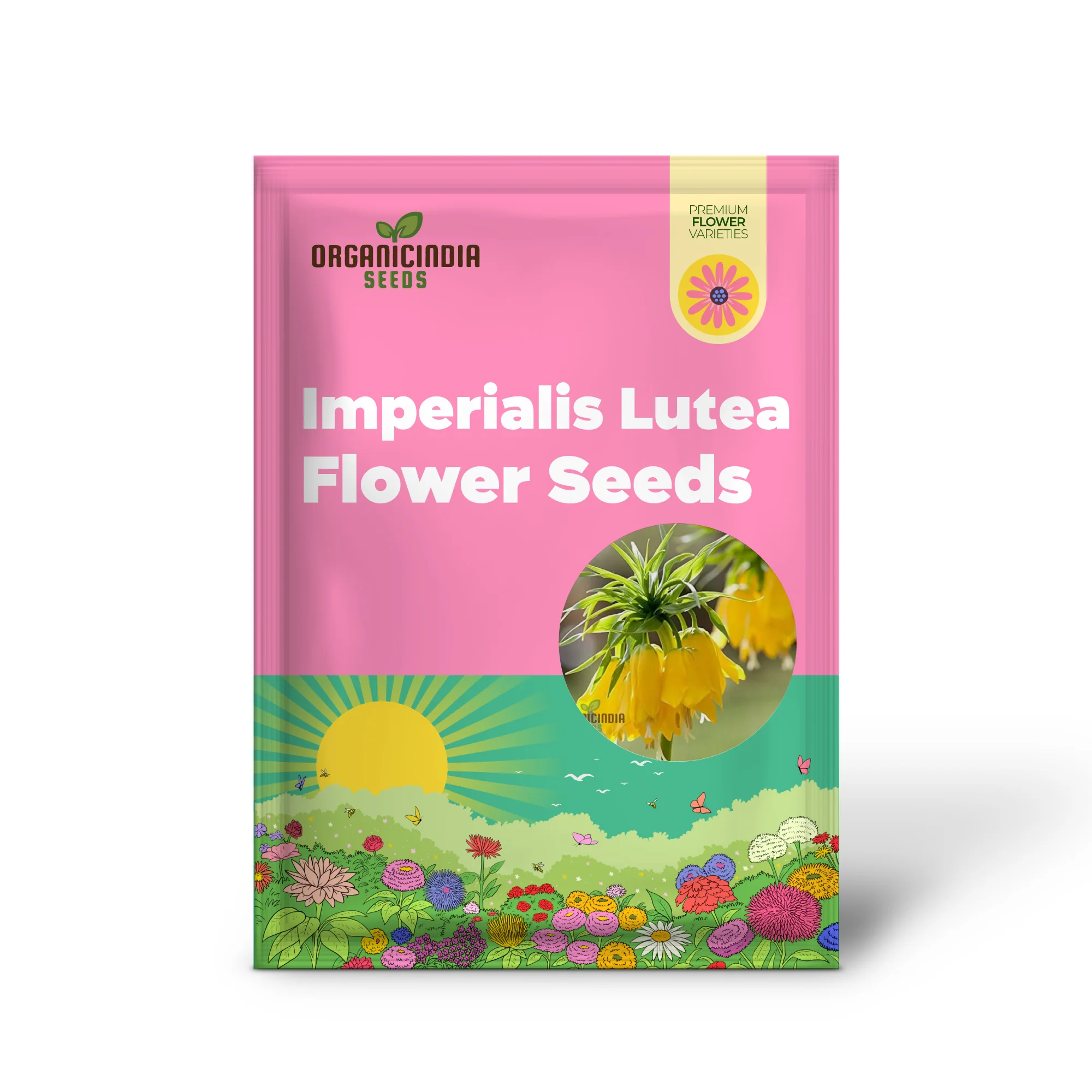 Fritillaria Imperialis Lutea Flower Seeds For Planting, Elegant Yellow Crown Imperial Flowers for a Stunning and Regal Garden Display - Image 2