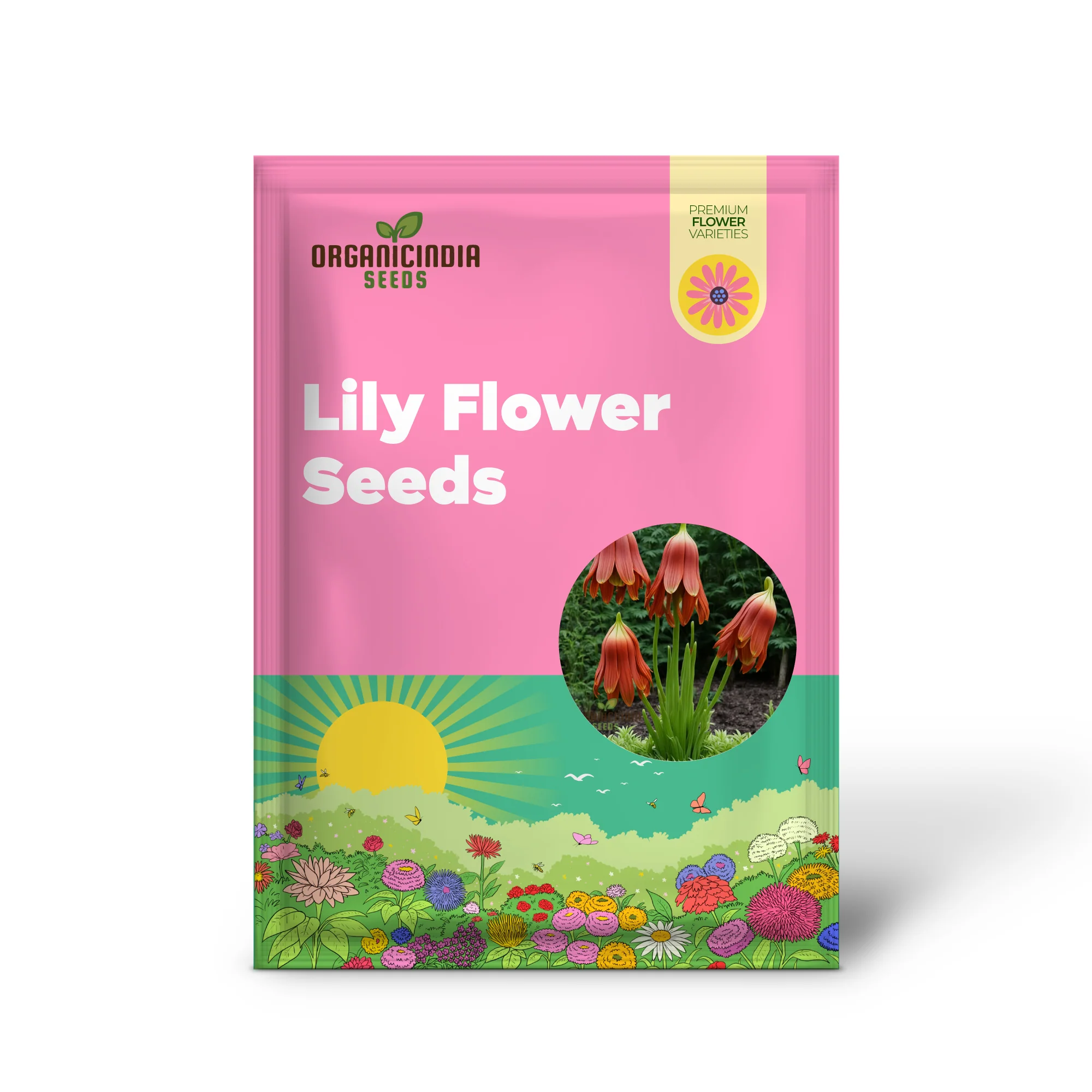 Red Lily Flower Seeds Elevate Your Gardening Experience with Majestic, Regal Blooms - Image 2