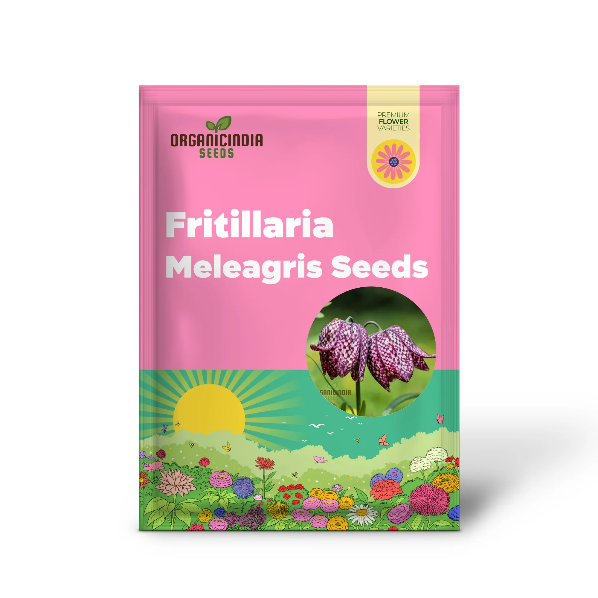 Fritillaria Meleagris Seeds - Exquisite Checkered Lily for Planting in Gardens and Naturalizing - Image 2