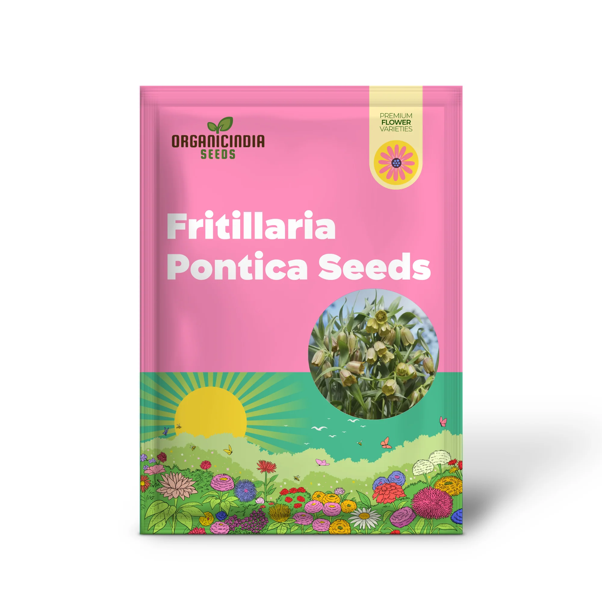 Fritillaria Pontica Seeds - Planting Perfection for Your Garden - Image 2