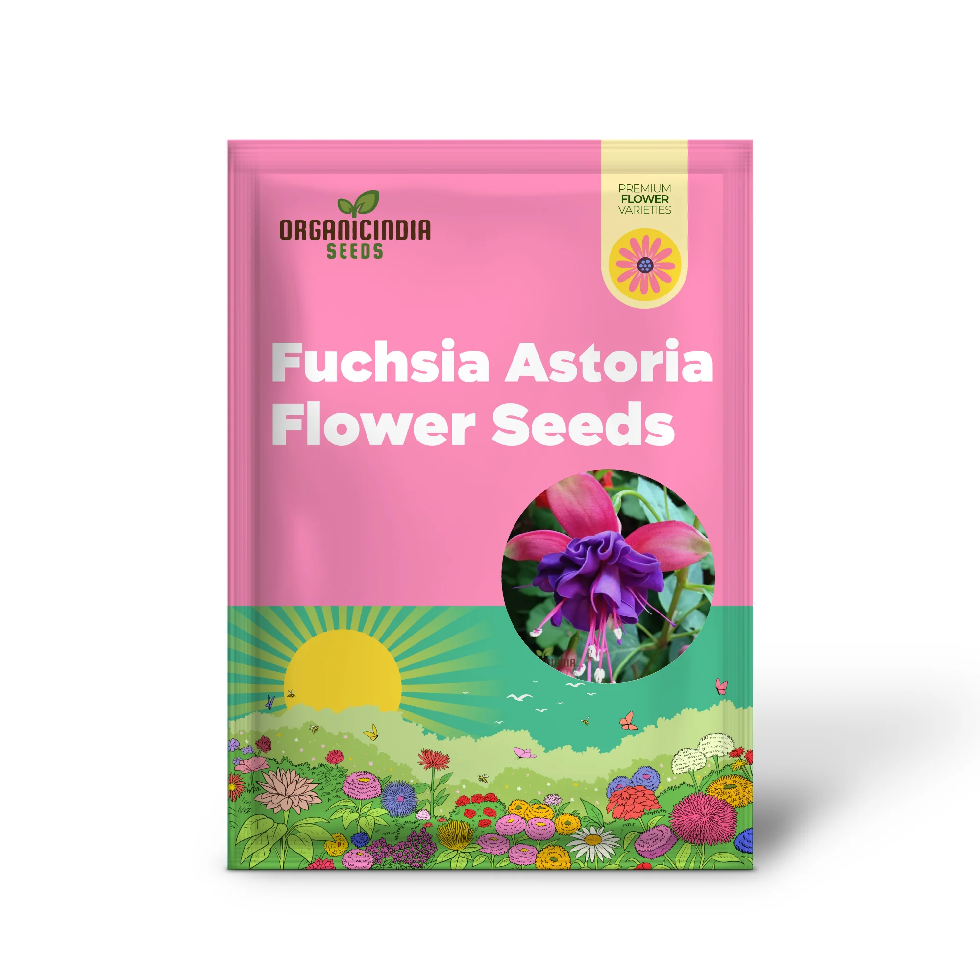 Fuchsia Astoria Seeds – Decorative Hanging & Border Flowers - Image 2