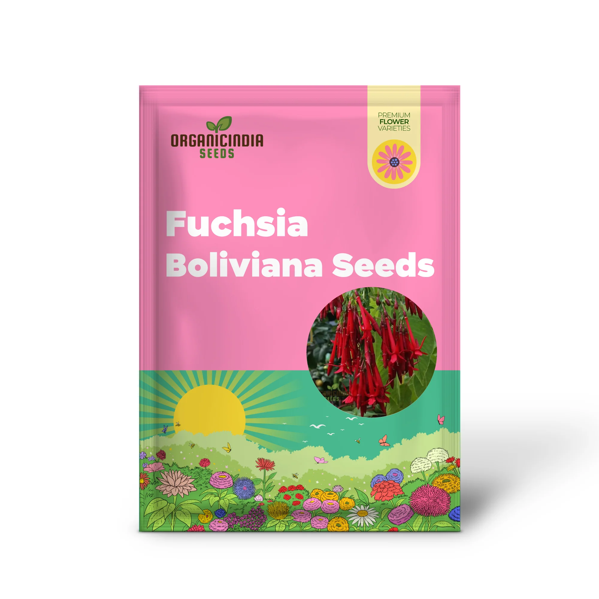 Fuchsia Boliviana Seeds - Exotic Planting Variety for Your Garden - Image 2