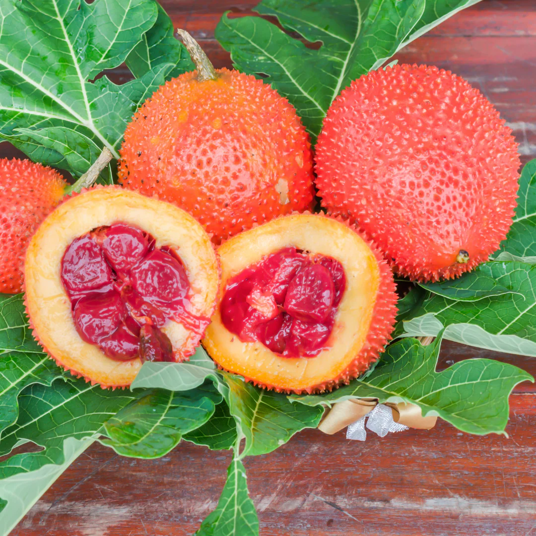 Gac Fruit Seeds - Image 3