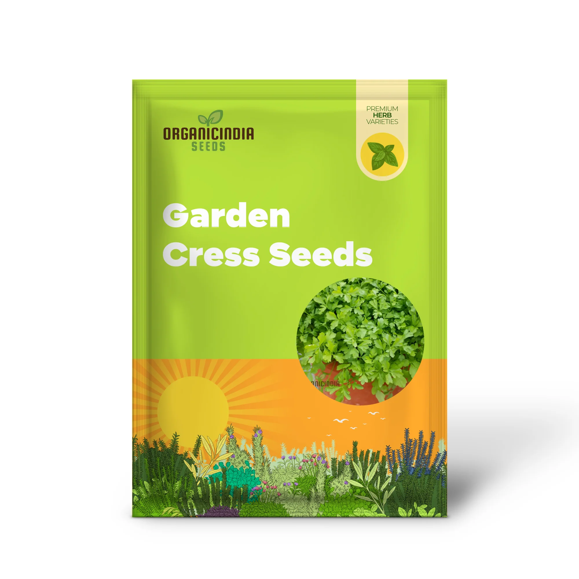 Garden Cress Seeds – Fresh, Fast-Growing Nutritious Greens for Home Gardening - Image 2