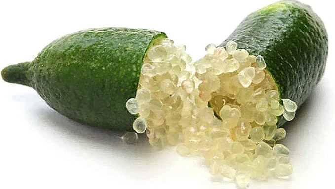 Garden Finger Lime Seeds, Non-GMO Evergreen Perennial, Low Maintenance Cooking Plant