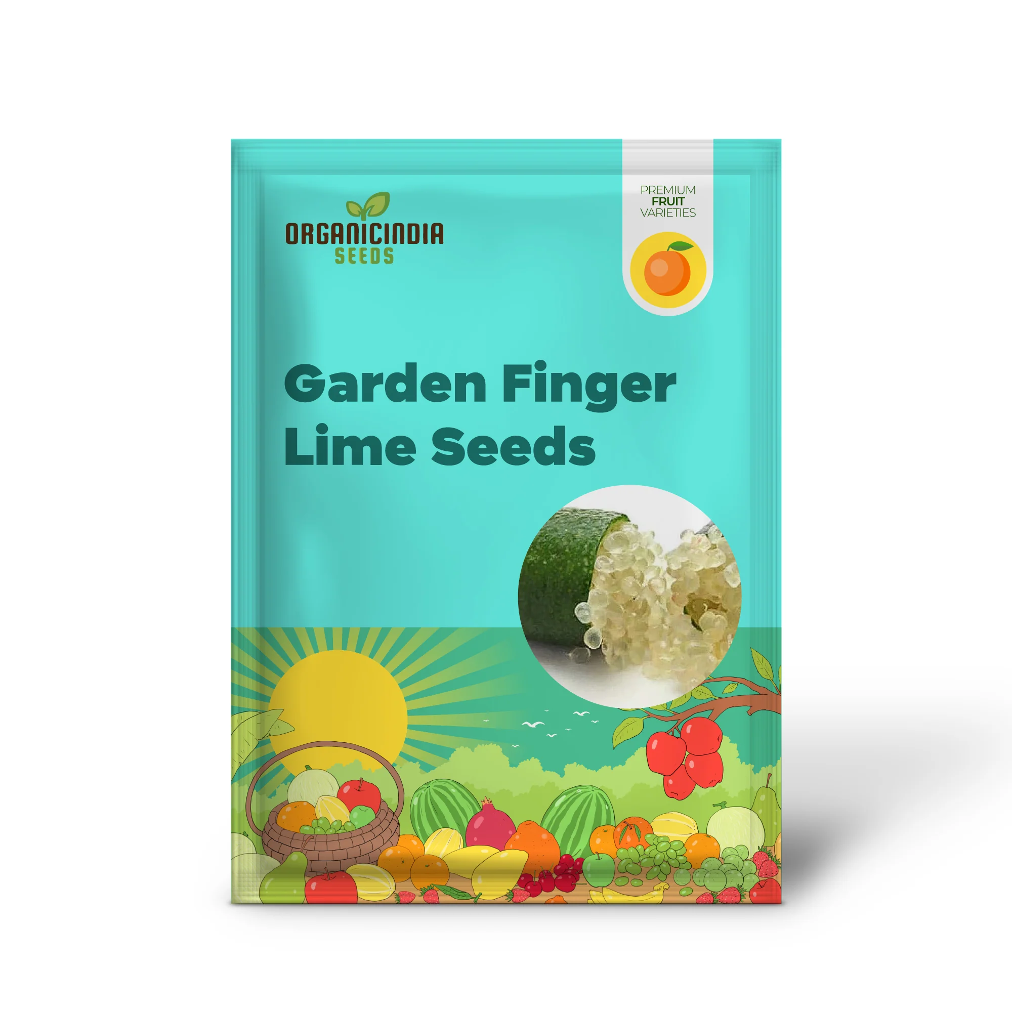 Garden Finger Lime Seeds, Non-GMO Evergreen Perennial, Low Maintenance Cooking Plant - Image 2