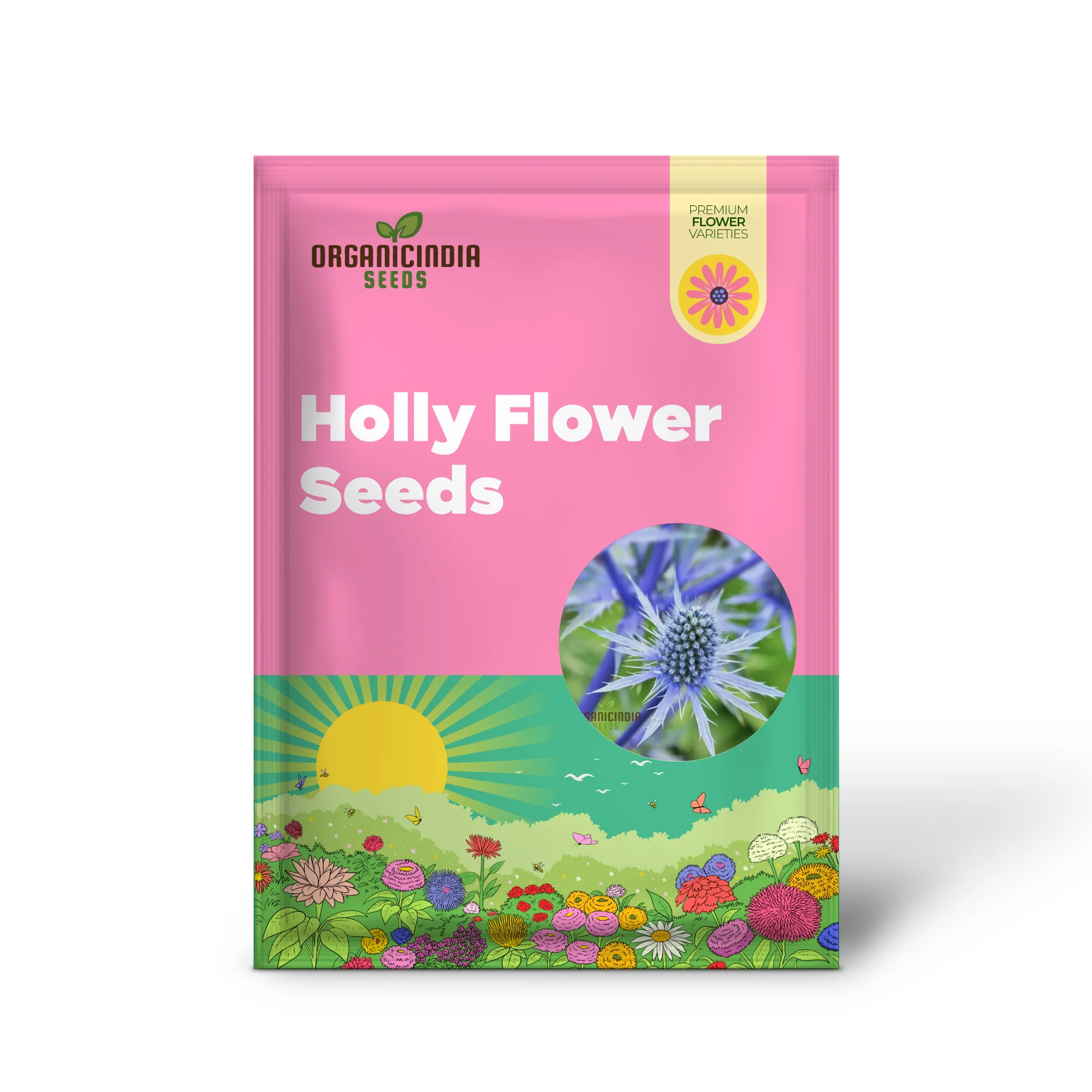Sea Blue Holly Flower Seeds, Fresh Sea Blue Holly Seeds for Planting - Image 2