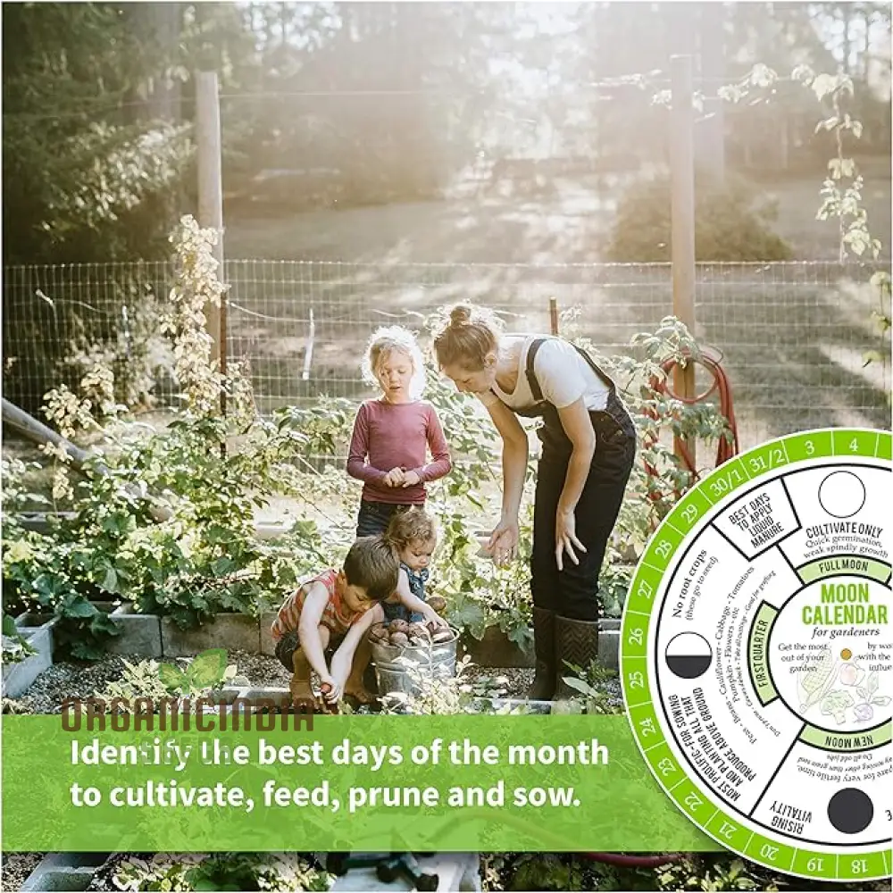 Gardener's Moon Calendar: Master Gardening with Lunar Phases - Optimal Times to Sow, Plant, Prune, & Harvest. Ideal for Beginner Gardeners - Image 2