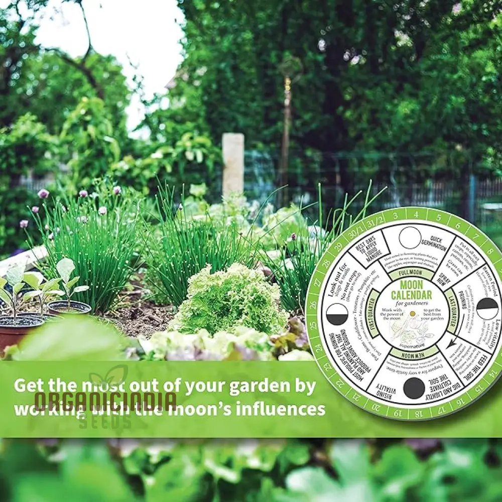Gardener's Moon Calendar: Master Gardening with Lunar Phases - Optimal Times to Sow, Plant, Prune, & Harvest. Ideal for Beginner Gardeners - Image 5