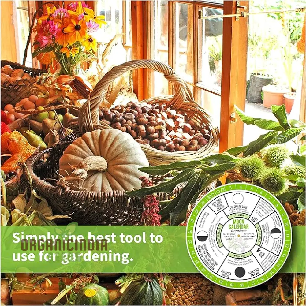 Gardener's Moon Calendar: Master Gardening with Lunar Phases - Optimal Times to Sow, Plant, Prune, & Harvest. Ideal for Beginner Gardeners - Image 7
