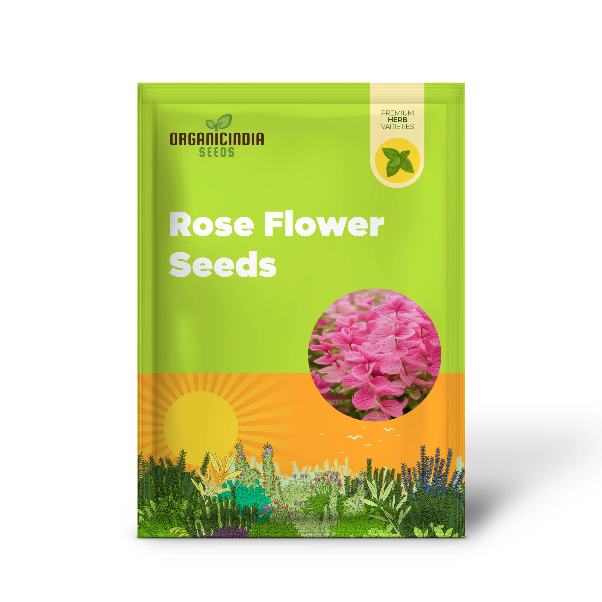 Salvia Say So Rose Seeds – Long-Blooming, Vibrant Garden Variety - Image 2