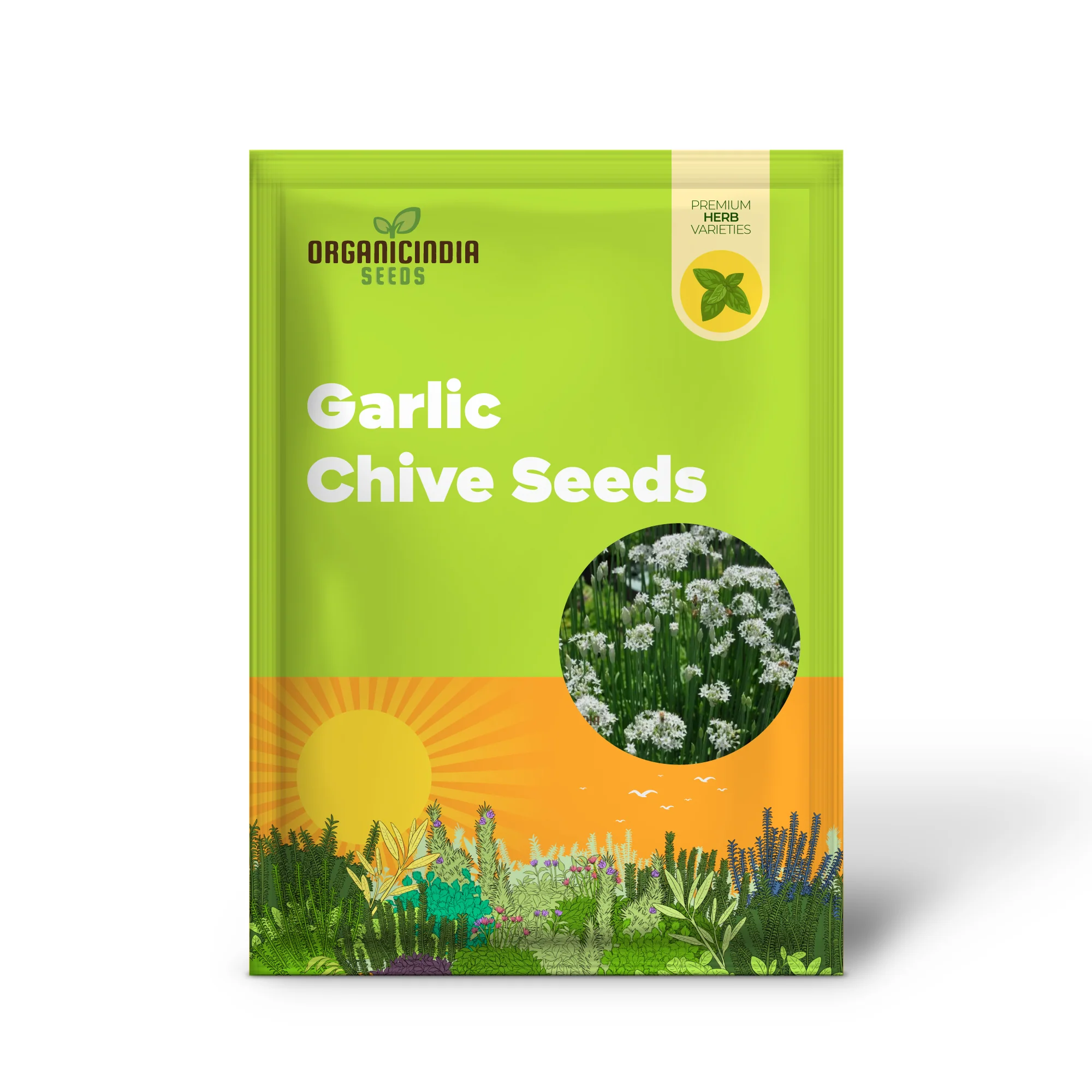 Garlic Chive Seeds for Planting – Premium Quality, Flavorful & Easy-Grow Herb - Image 2