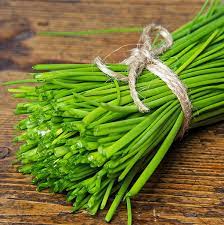 Garlic Chives Seeds – High Yield Open-Pollinated Heirloom Chinese Leek - Image 3
