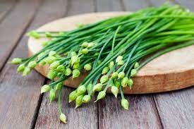 Garlic Chives Seeds – High Yield Open-Pollinated Heirloom Chinese Leek - Image 4