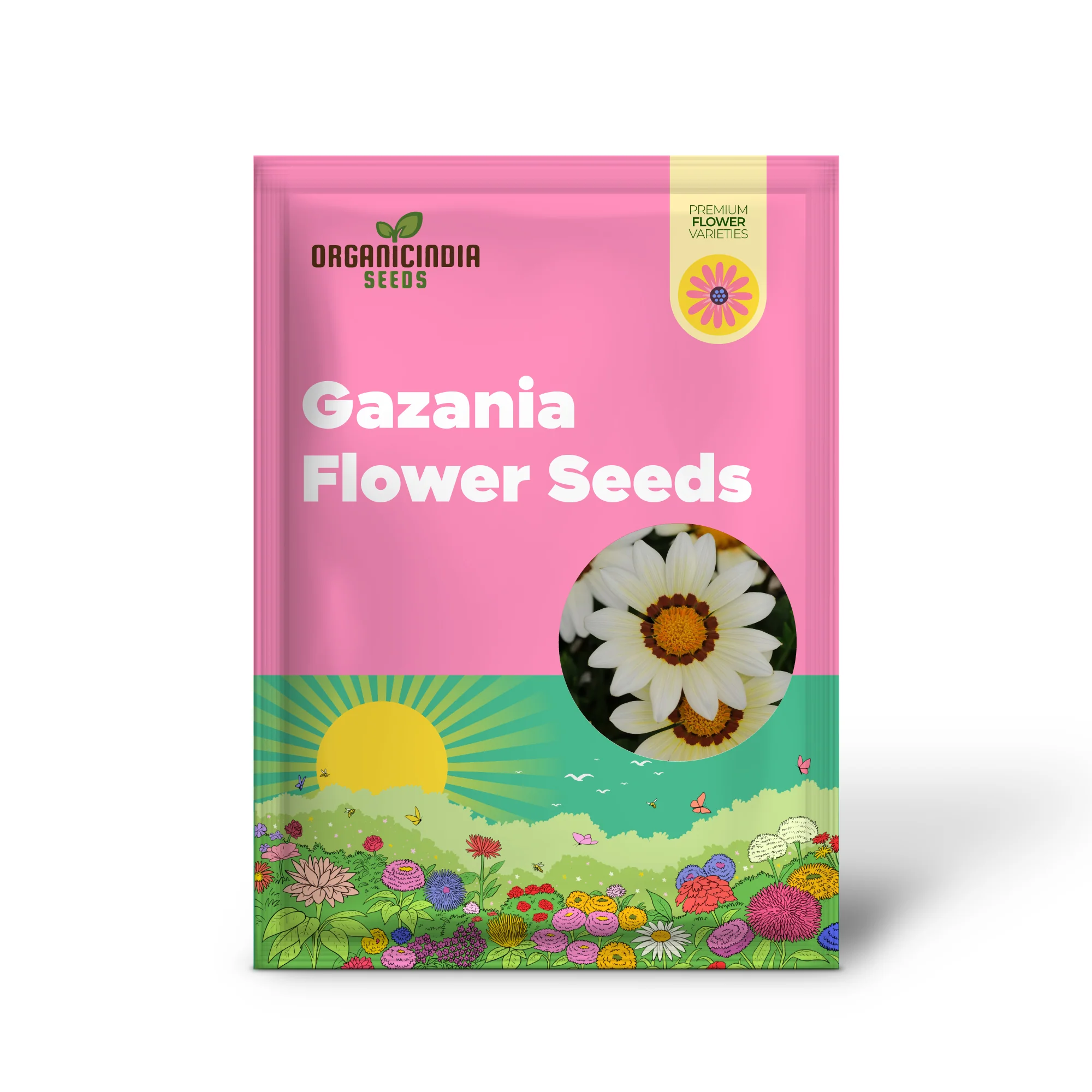 Gazania Daybreak Series White Flower Seeds, Planting - Image 2