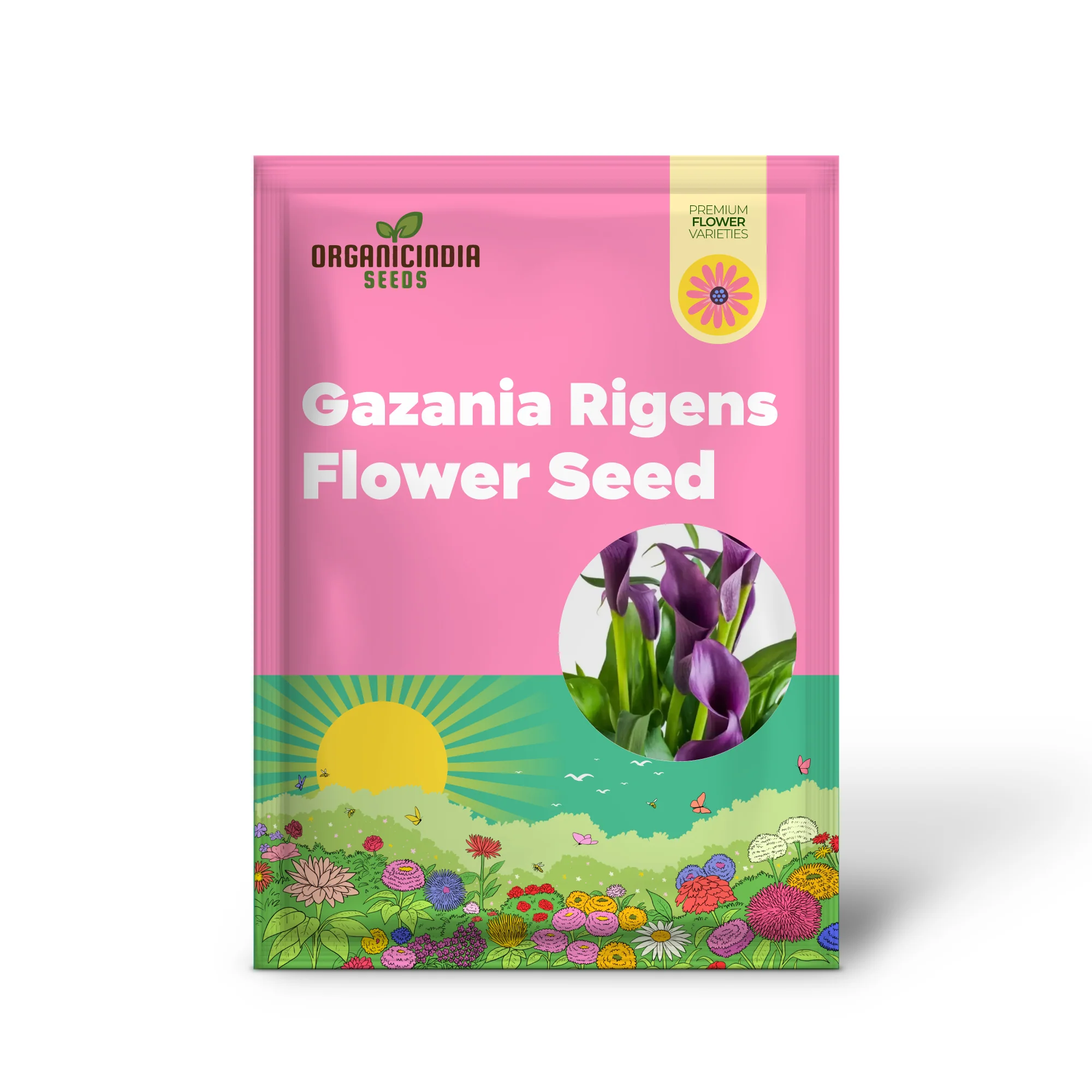 Gazania Rigens Flower Seeds - African Sunflower - 100 pcs - Image 2