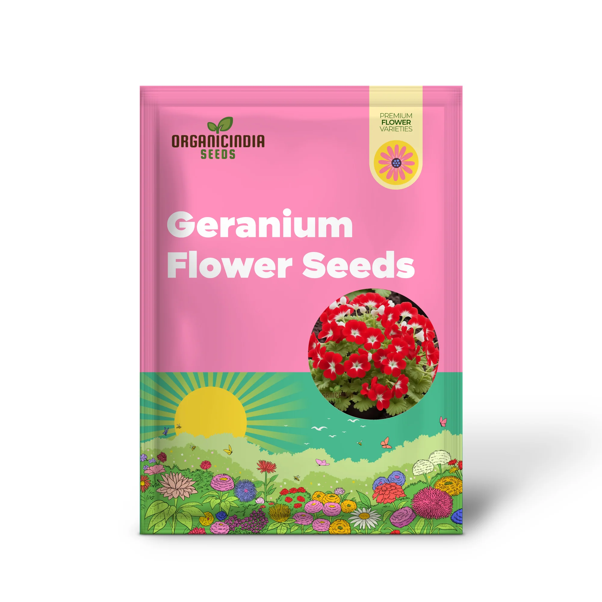Red White Geranium Flower Seeds, Classic Garden Blooms, Easy-to-Grow - Image 2