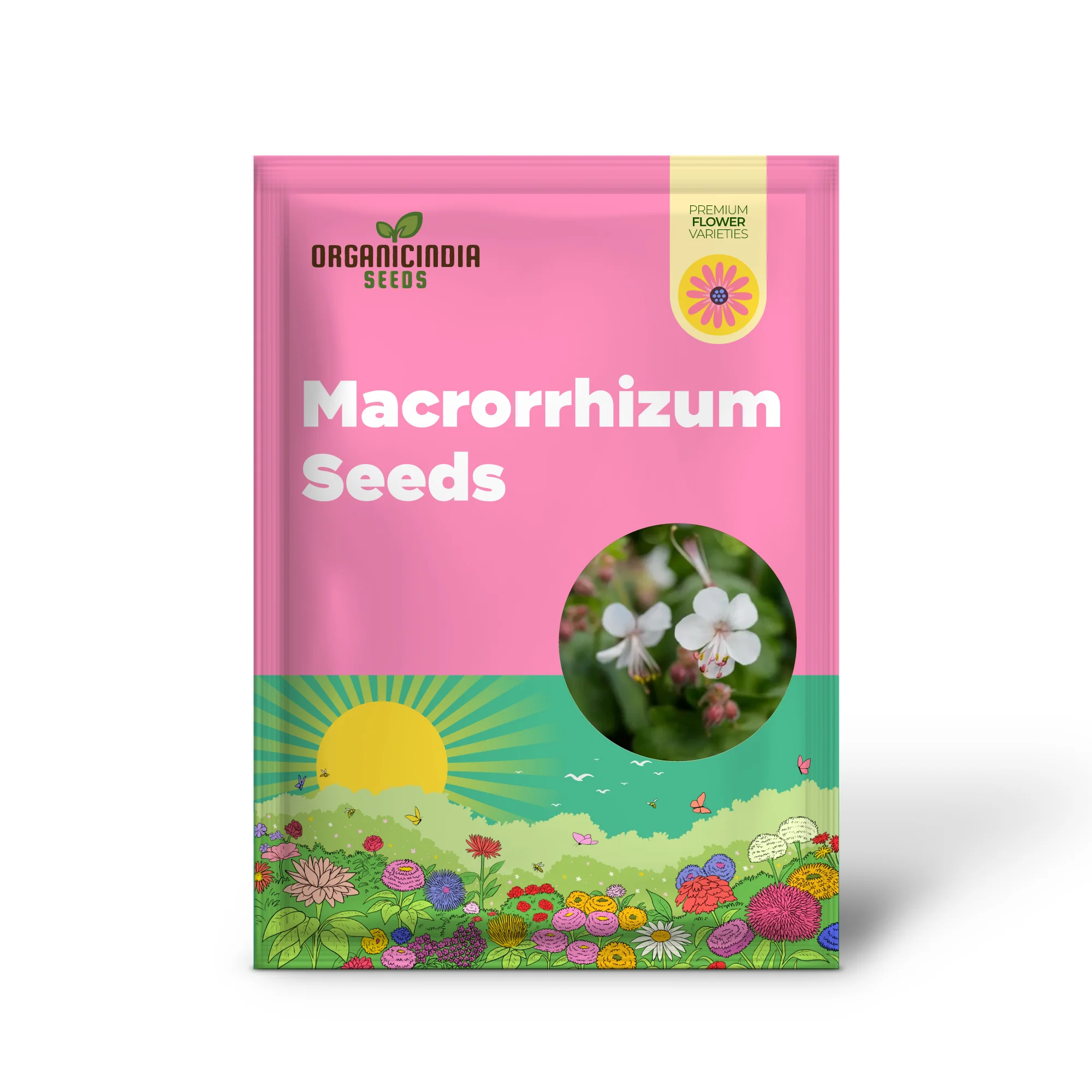 Geranium Macrorrhizum Seeds - Vibrant Perennial for Your Garden | Premium Quality Blooms and Foliage | Perfect for Borders and Ground Cover - Image 2