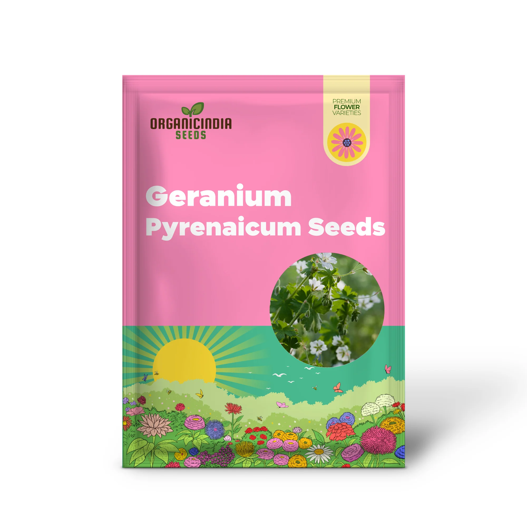Geranium Pyrenaicum Seeds 'Summer Snow' - Hardy Perennial for Stunning Garden Borders and Beds - Image 2