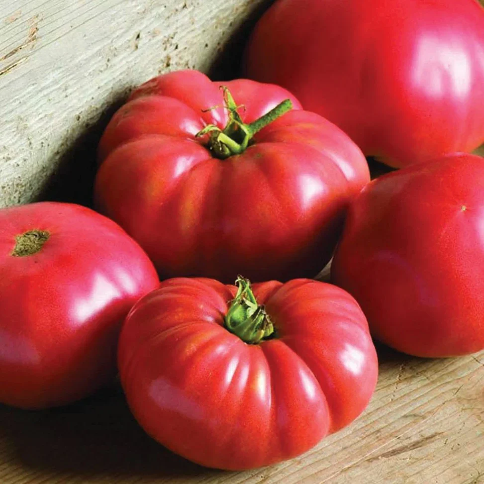German Johnson Tomato Seeds – Heirloom, Large & Juicy, Ideal for Slicing & Sauces - Image 2