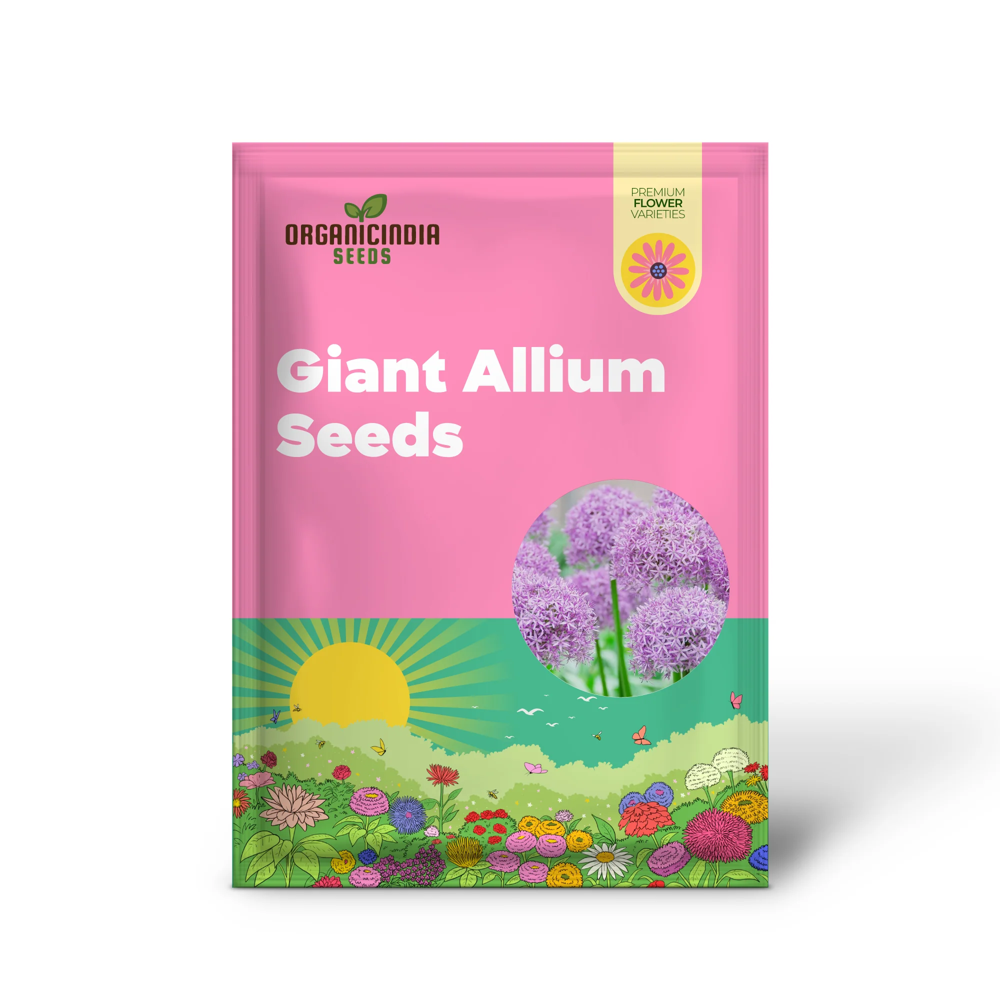 Giant Allium Seeds - Allium Giganteum Purple, Cold Hardy Heirloom & Non-GMO, Ideal for Cut Flowers - 50 Pcs - Image 2
