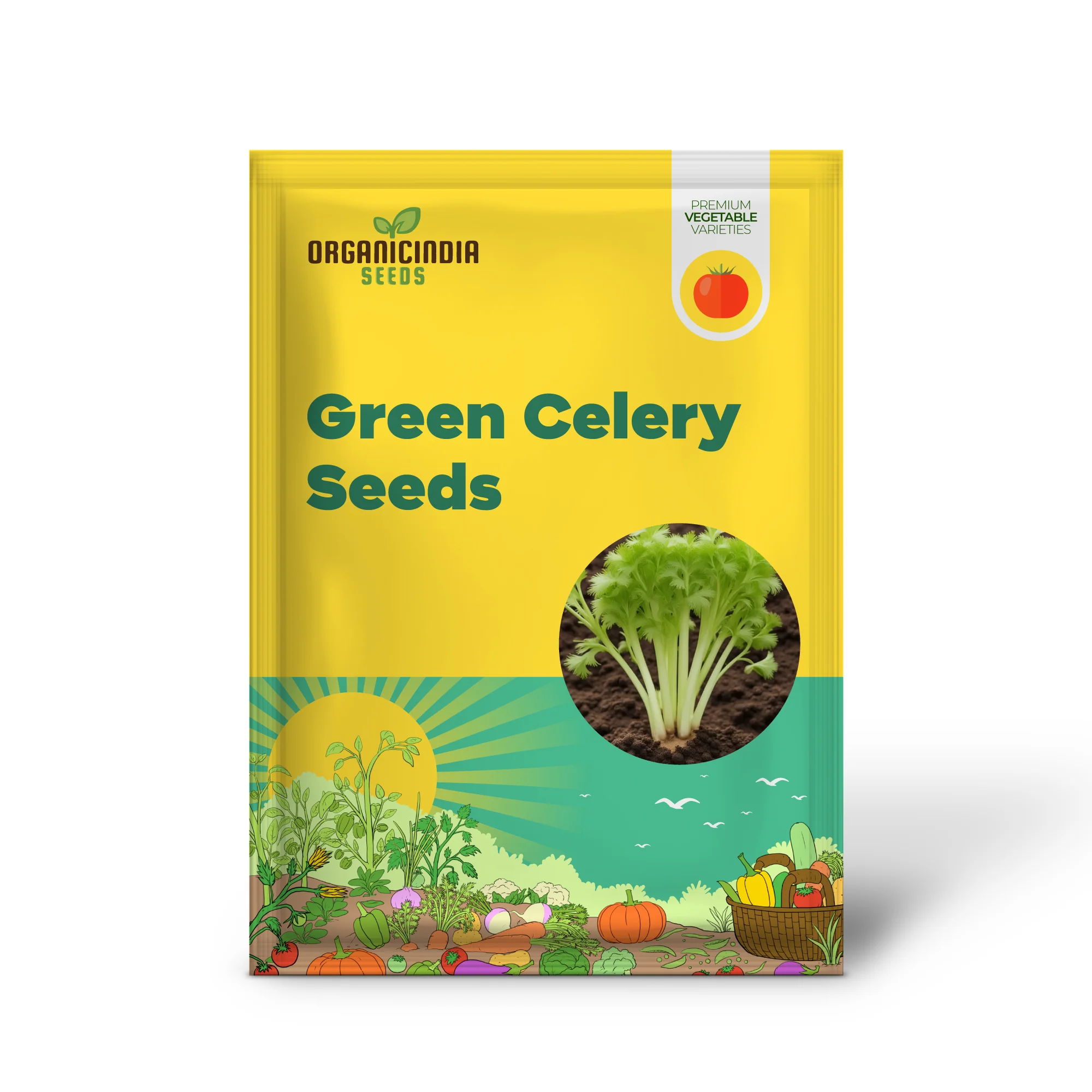 Giant Green Celery Planting Seeds, Cultivate Robust and Crisp Celery in Your Garden - Image 2