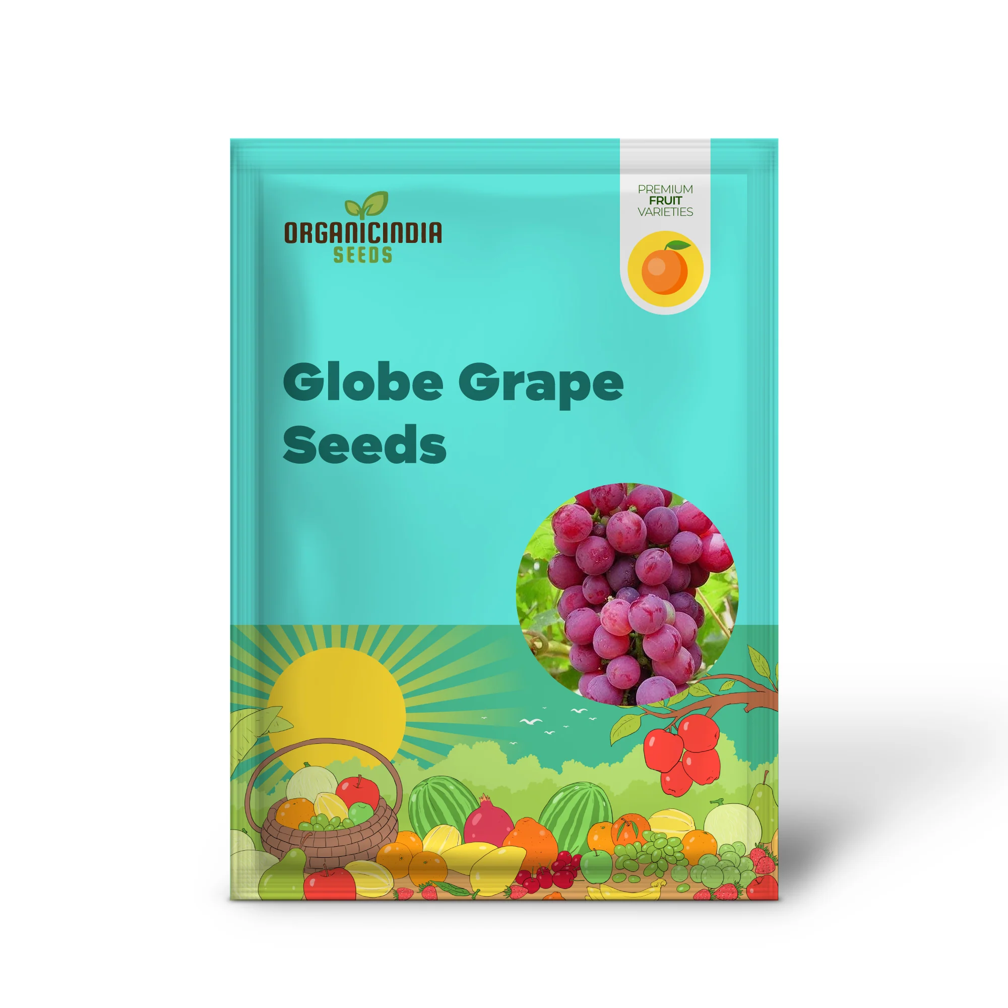 Giant Red Globe Grape Seeds – Largest Variety with Juicy, Flavorful Fruits – 20 Pcs - Image 2