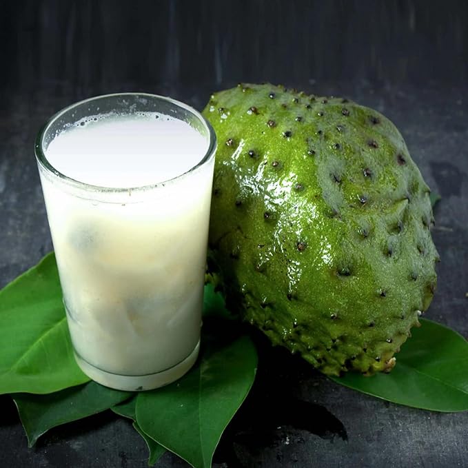Giant Soursop Seeds Annona Tropical Fruit with Sweet Tangy Flavor for Culinary  Health Benefits - Image 3